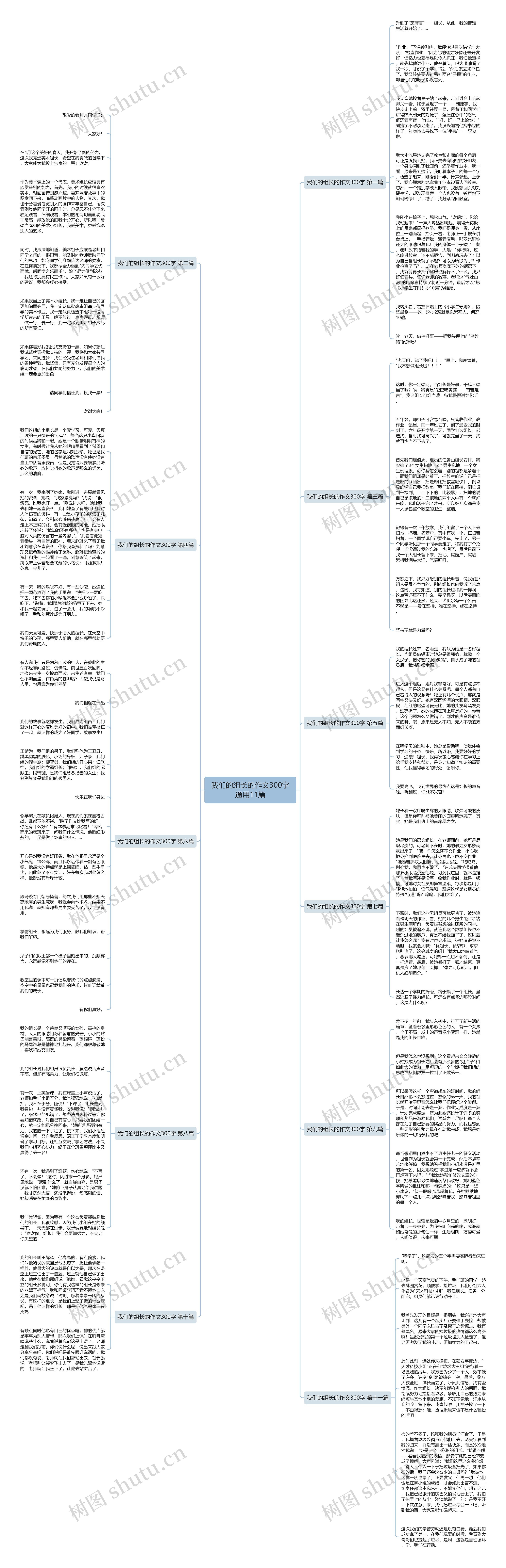 我们的组长的作文300字通用11篇思维导图