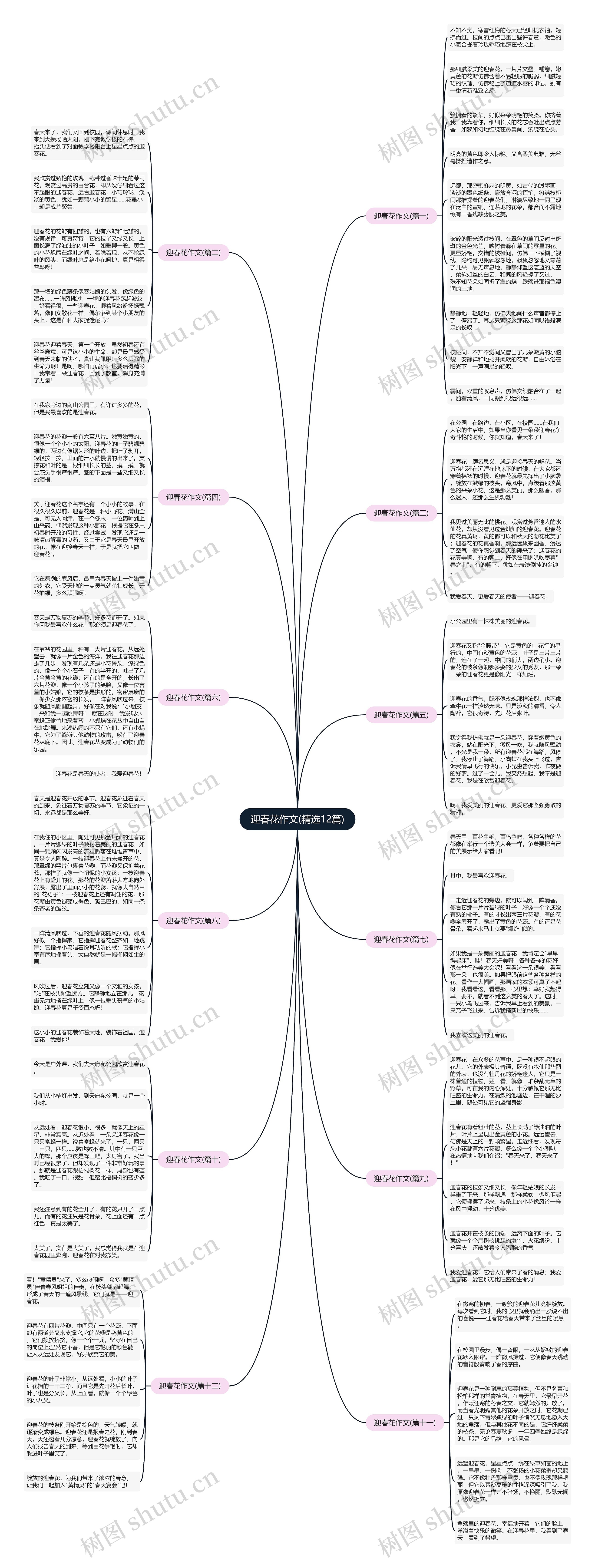 迎春花作文(精选12篇) 迎春花作文(精选12篇)