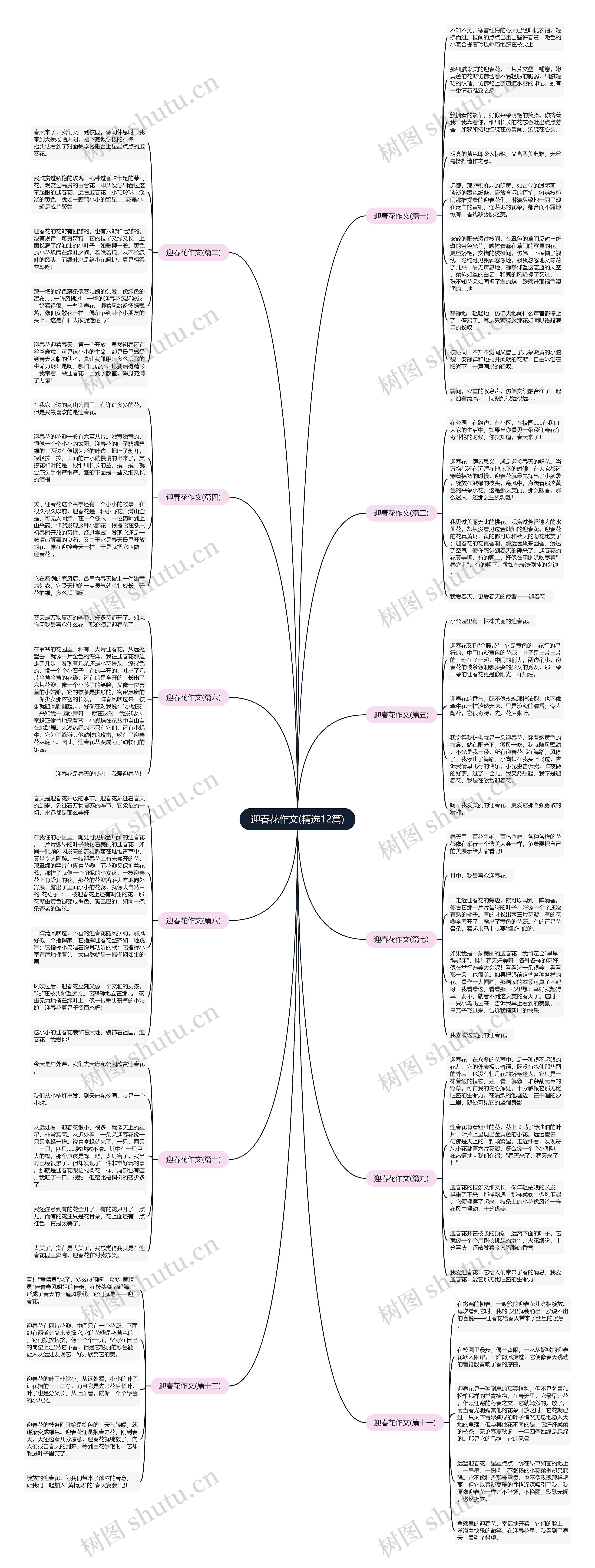 迎春花作文(精选12篇)思维导图