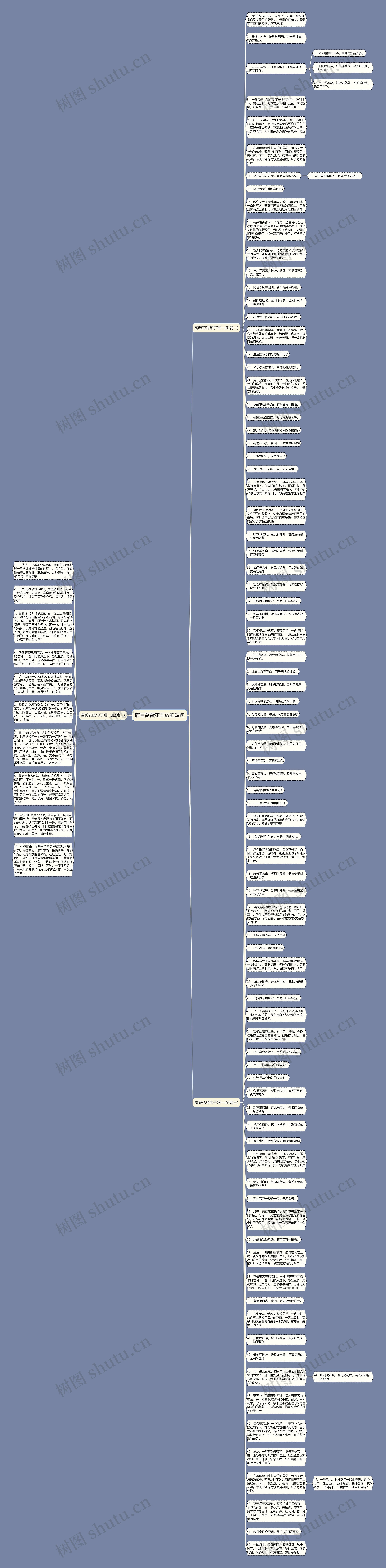 描写蔷薇花开放的短句思维导图