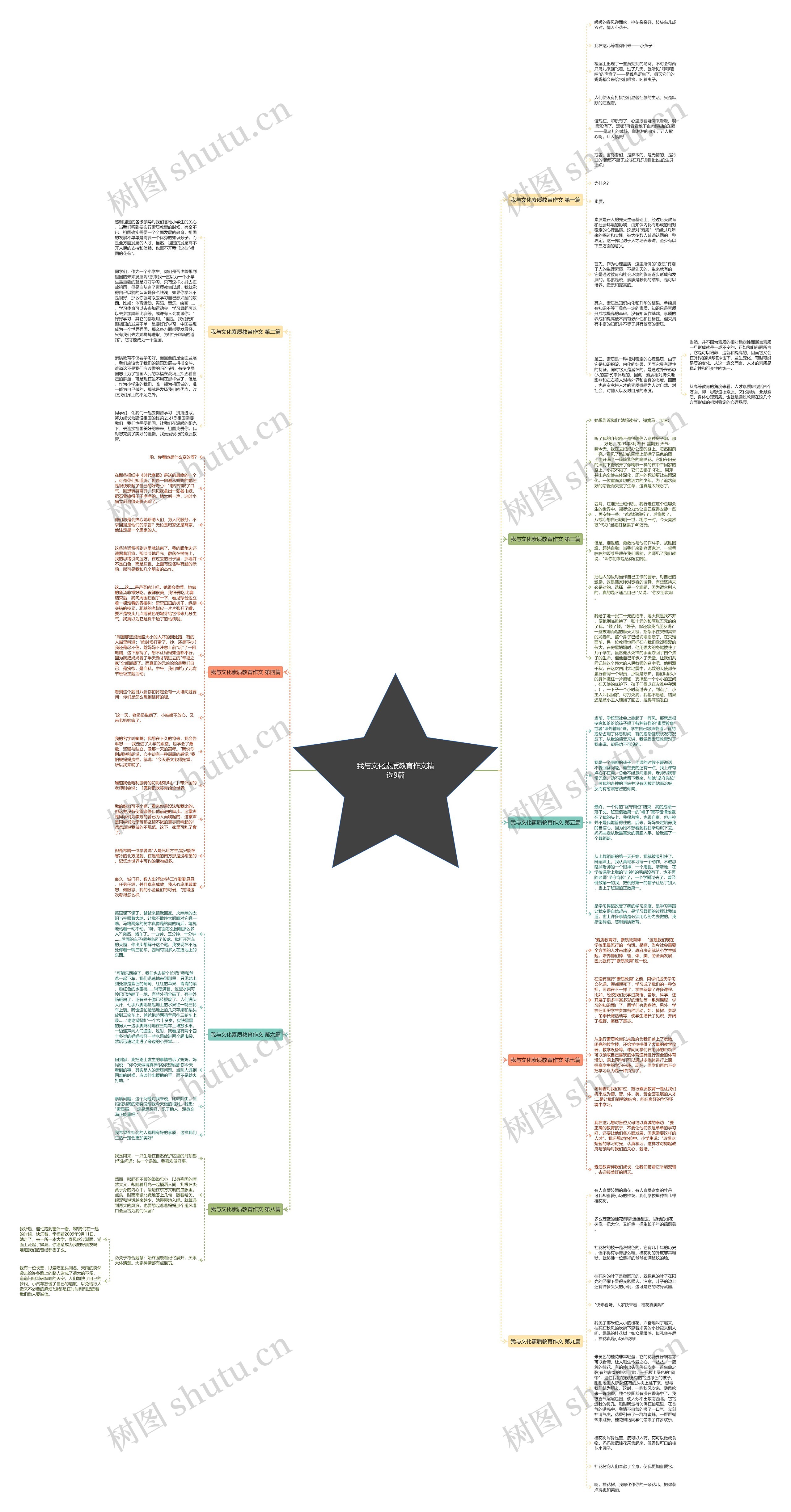 我与文化素质教育作文精选9篇思维导图