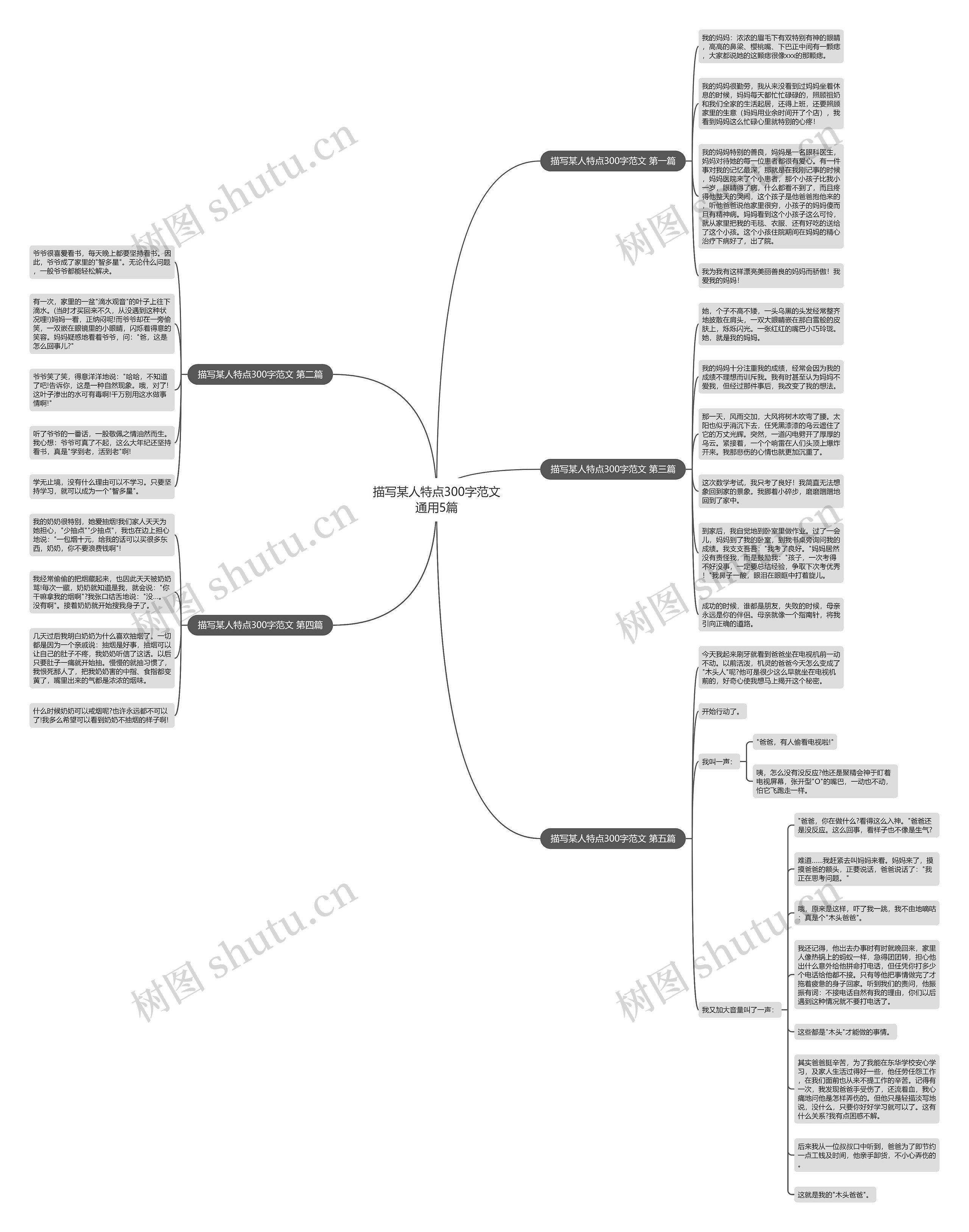 描写某人特点300字范文通用5篇思维导图