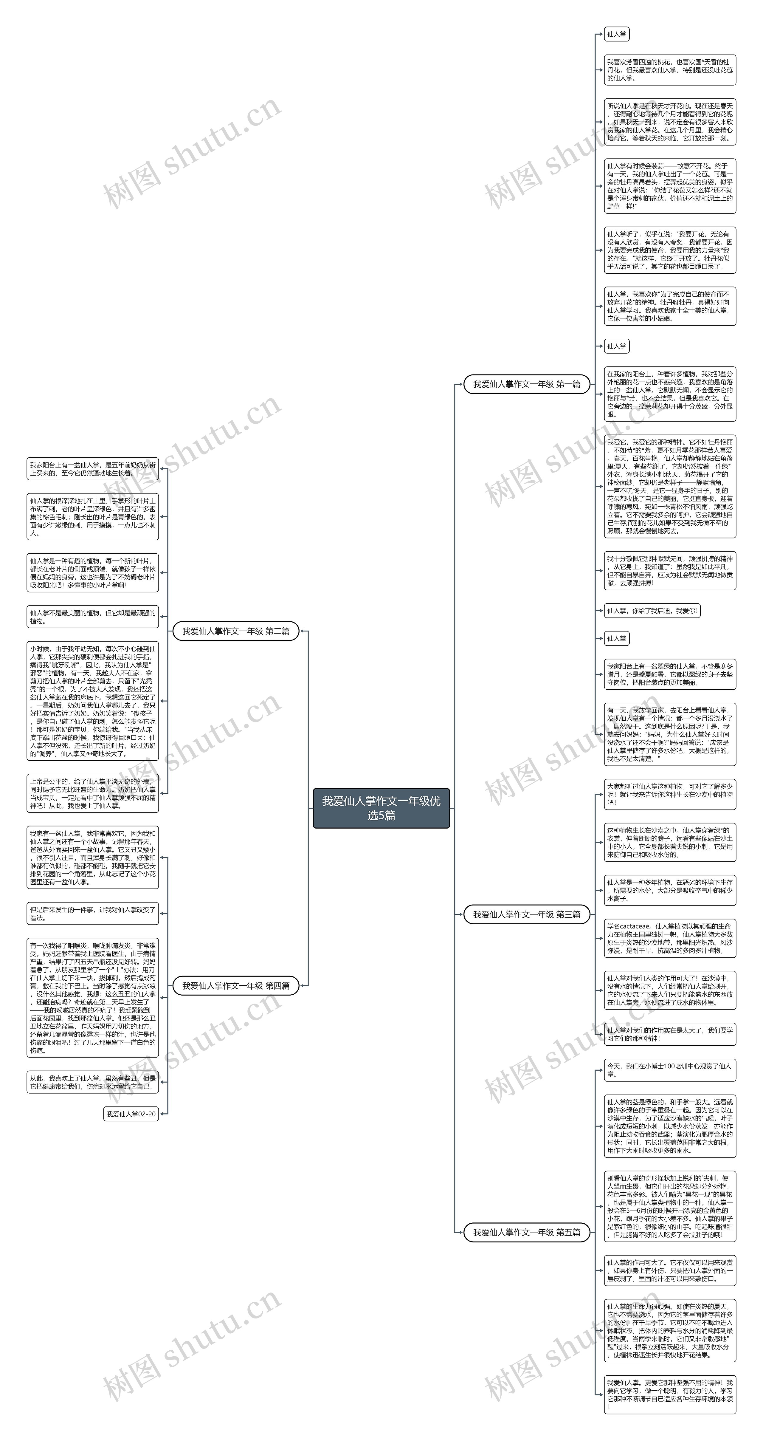 我爱仙人掌作文一年级优选5篇思维导图