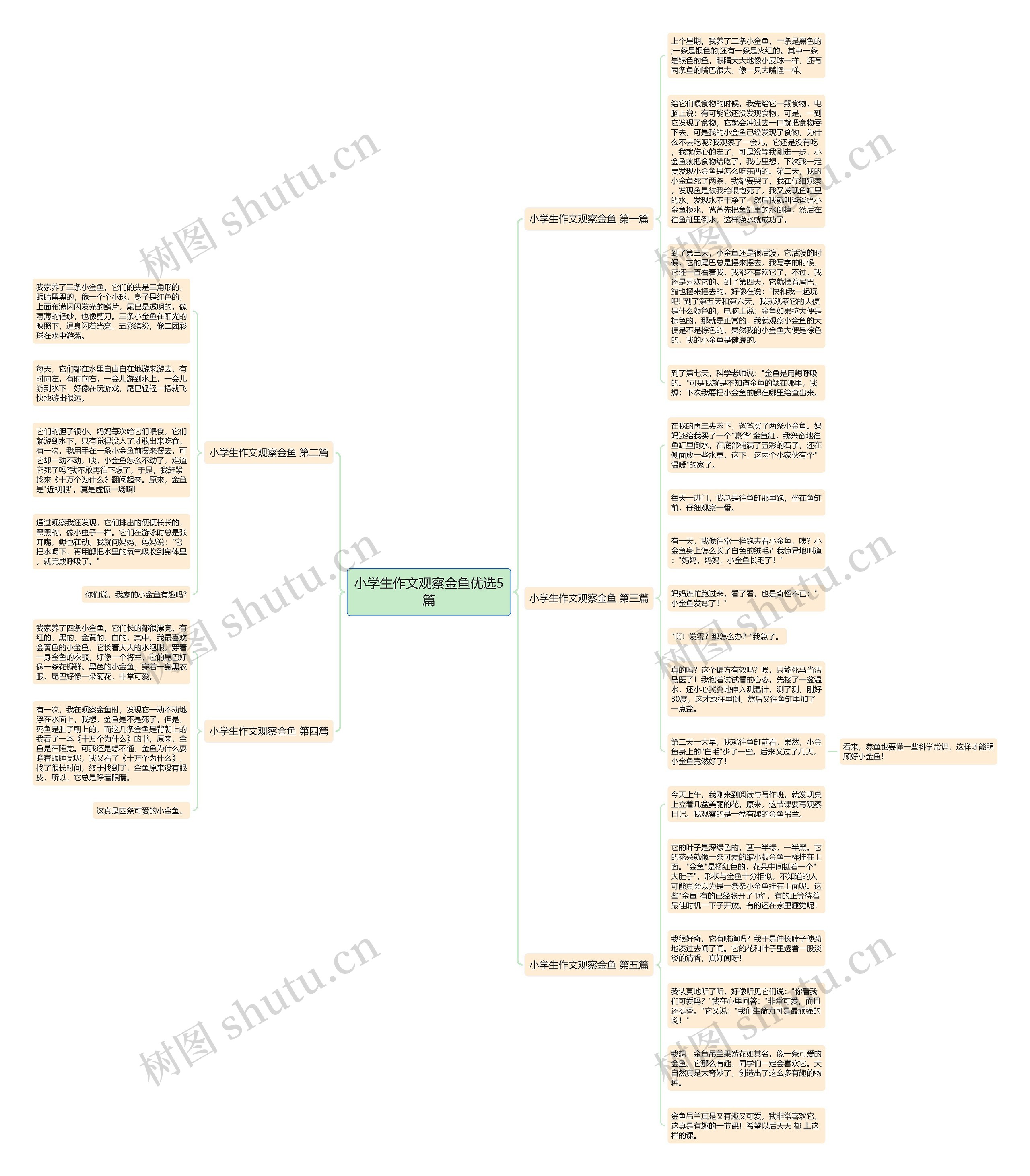 小学生作文观察金鱼优选5篇思维导图