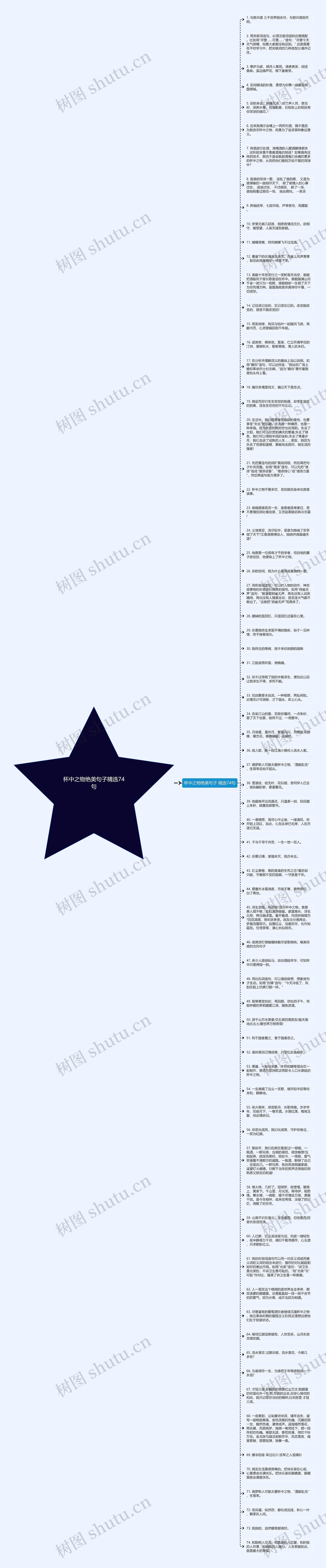 杯中之物绝美句子精选74句思维导图