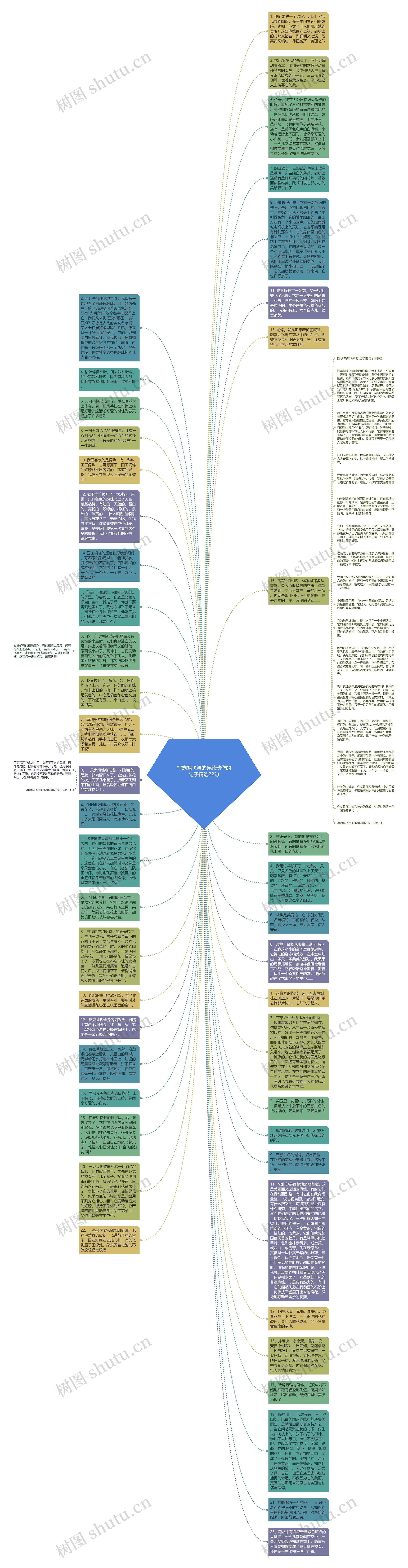 写蝴蝶飞舞的连续动作的句子精选22句思维导图