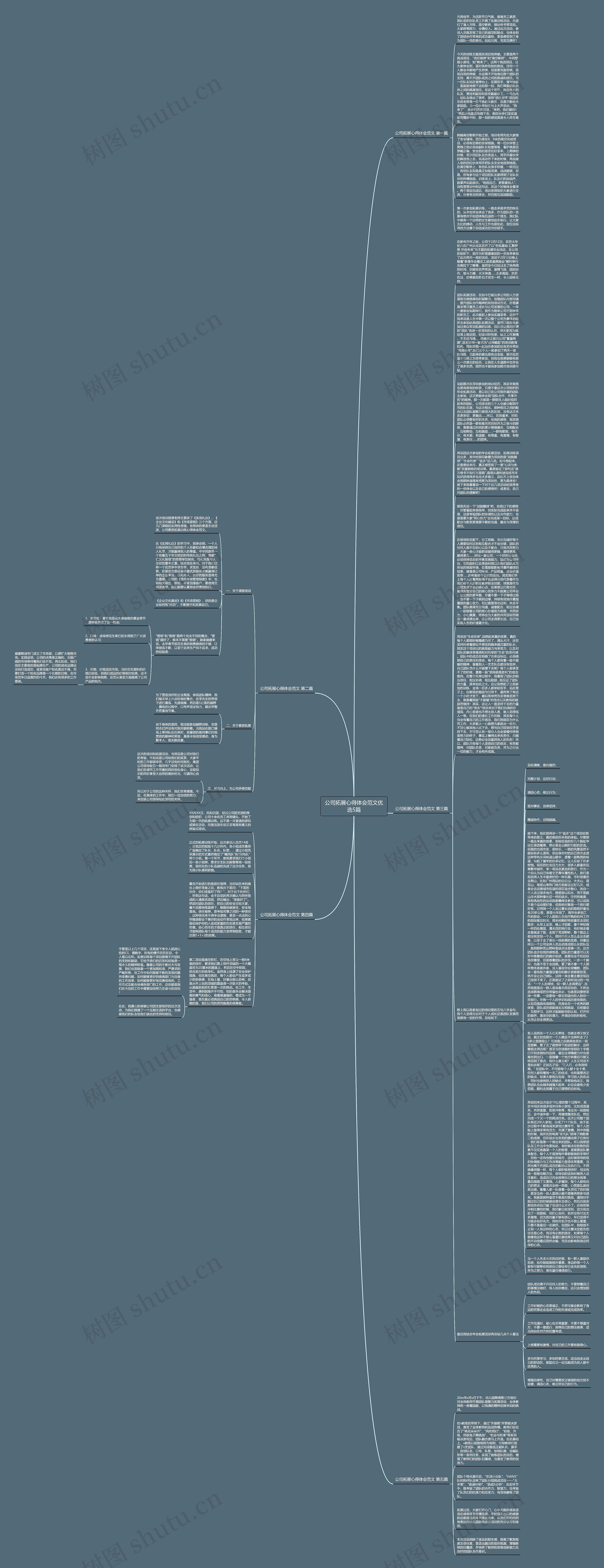 公司拓展心得体会范文优选5篇思维导图