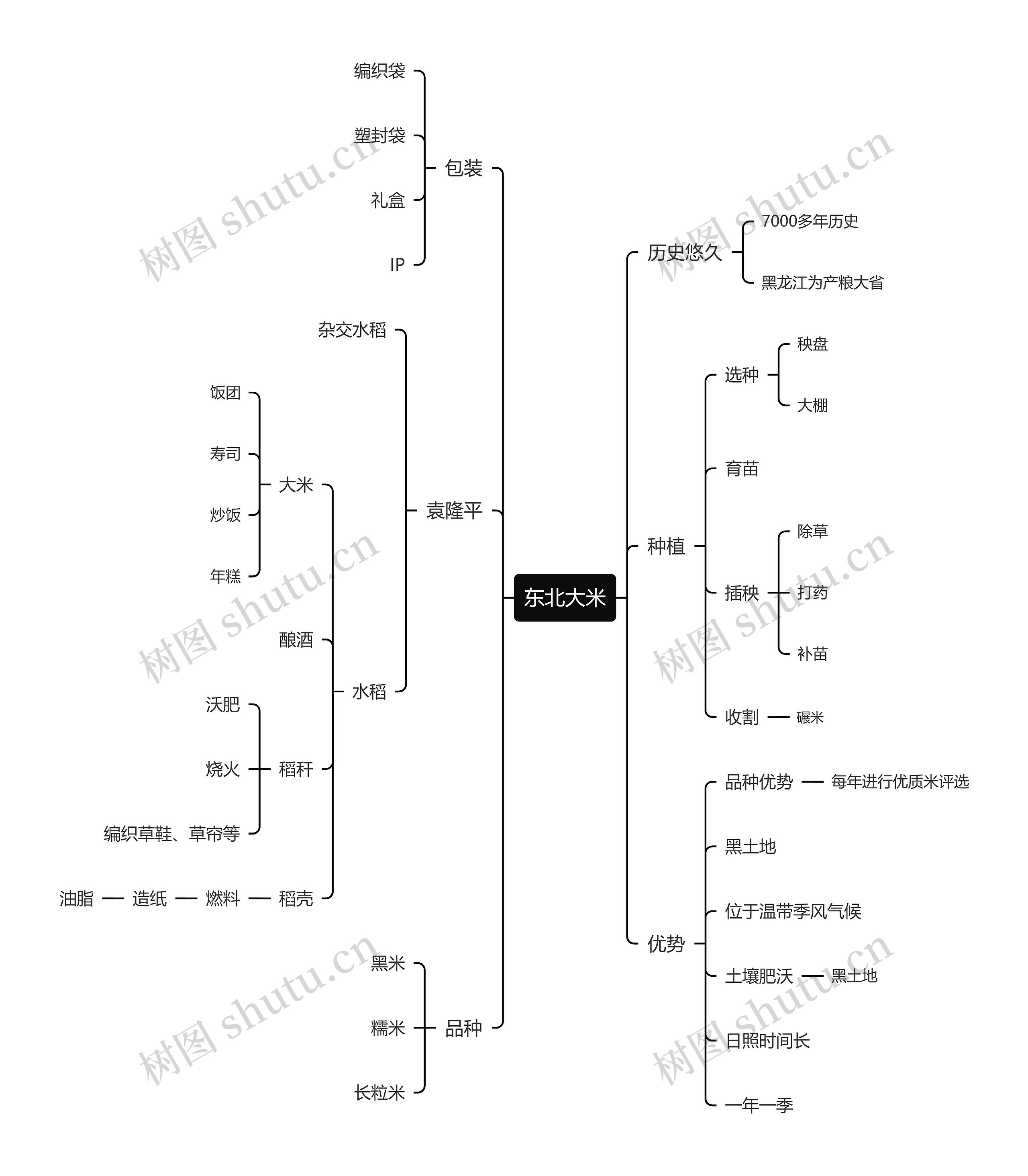 东北大米思维导图