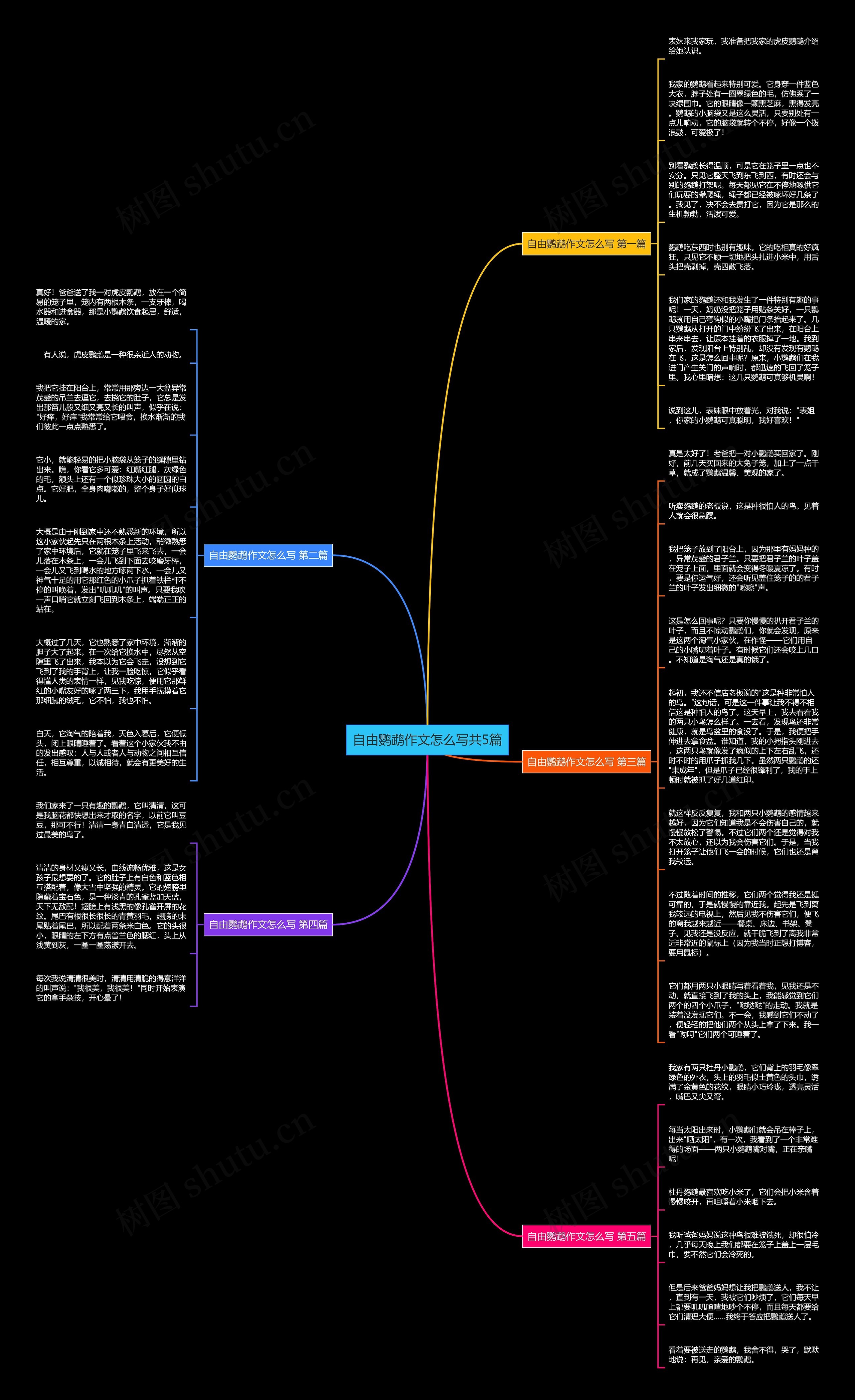 自由鹦鹉作文怎么写共5篇思维导图