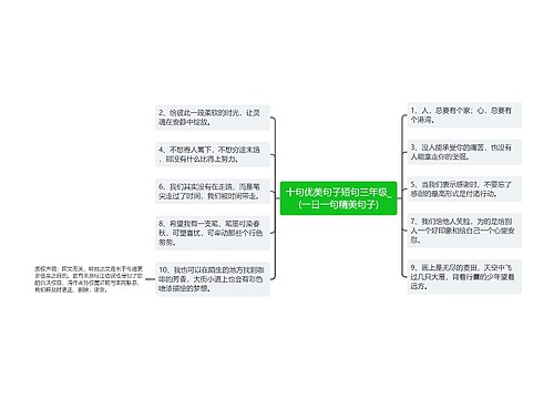 十句优美句子短句三年级_(一日一句精美句子)