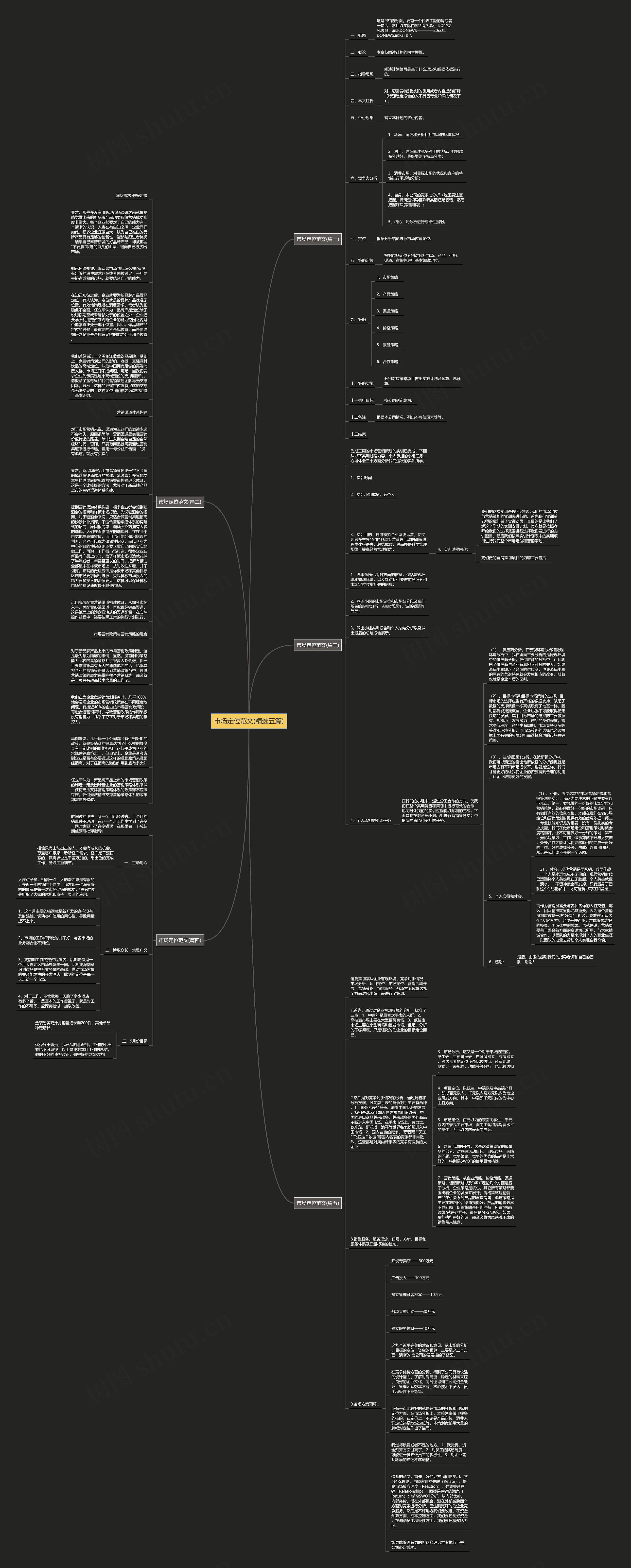 市场定位范文(精选五篇)思维导图