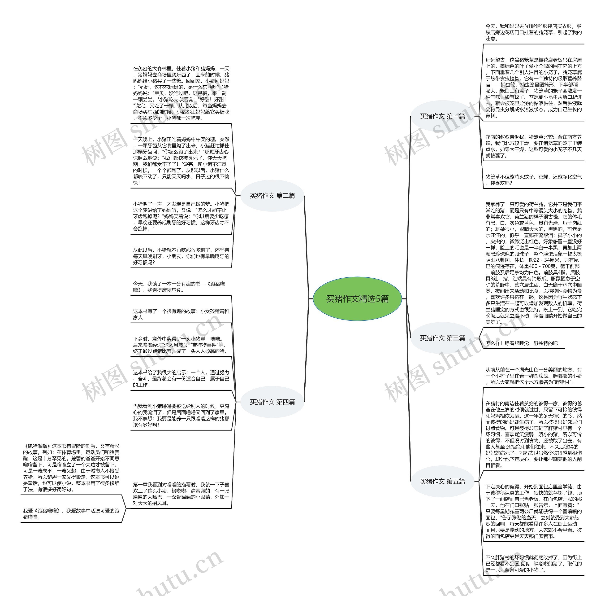 买猪作文精选5篇思维导图