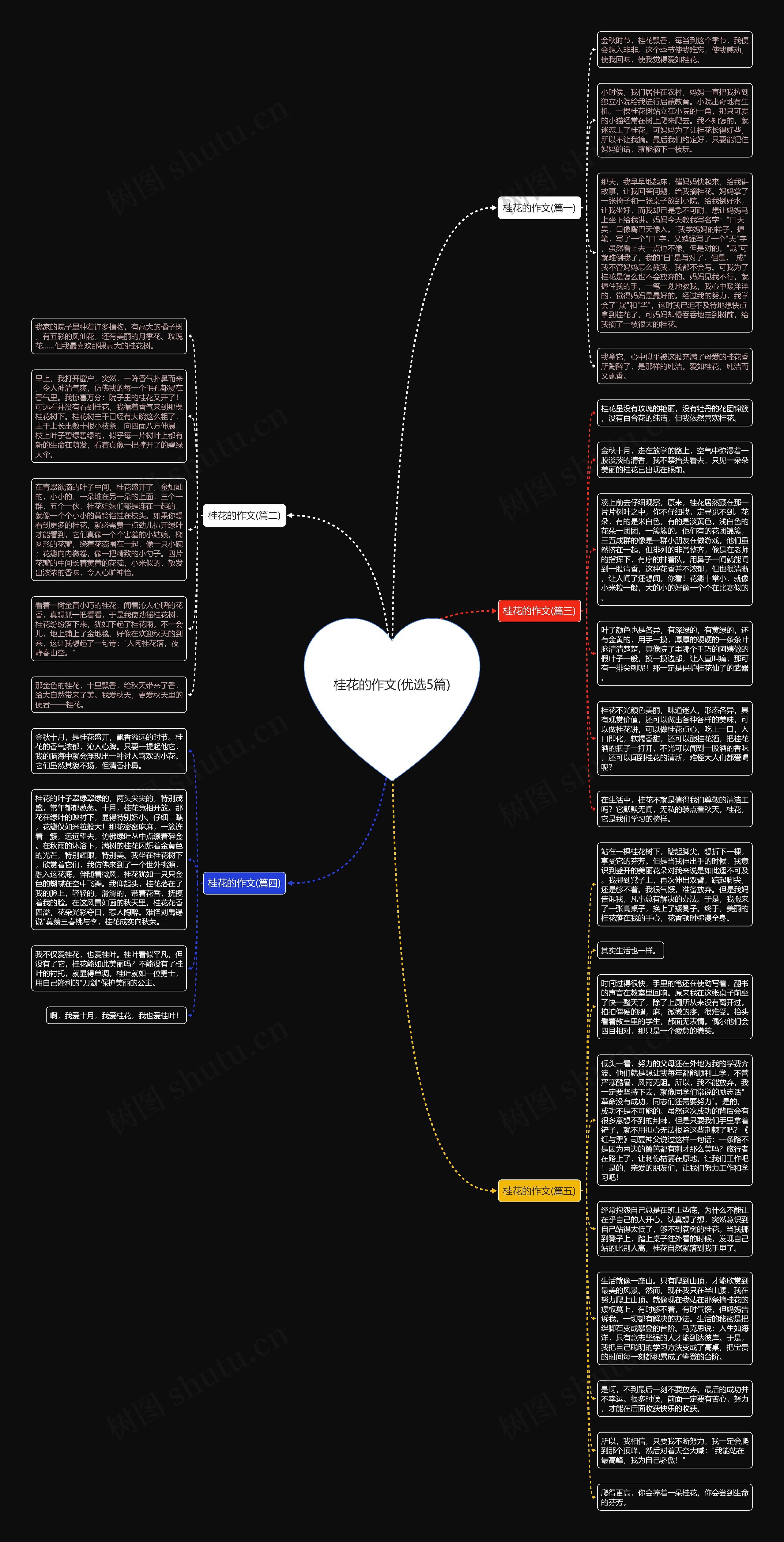 桂花的作文(优选5篇)思维导图
