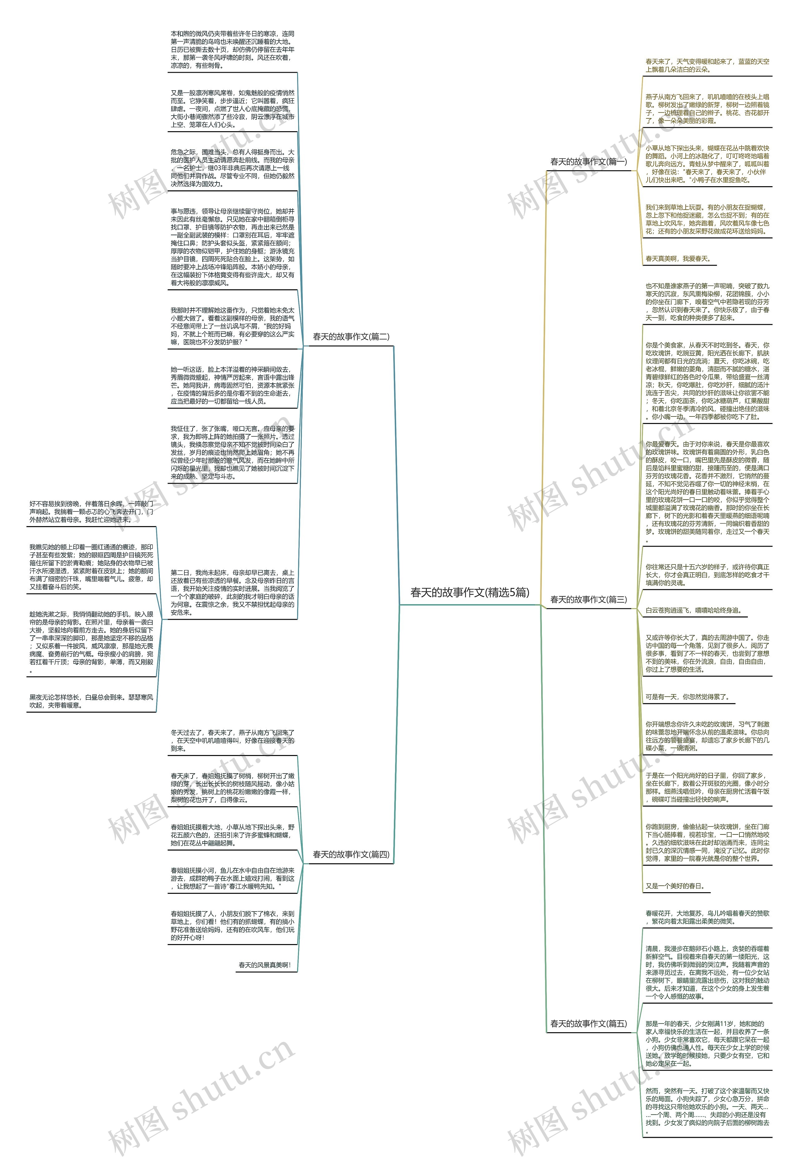 春天的故事作文(精选5篇)思维导图