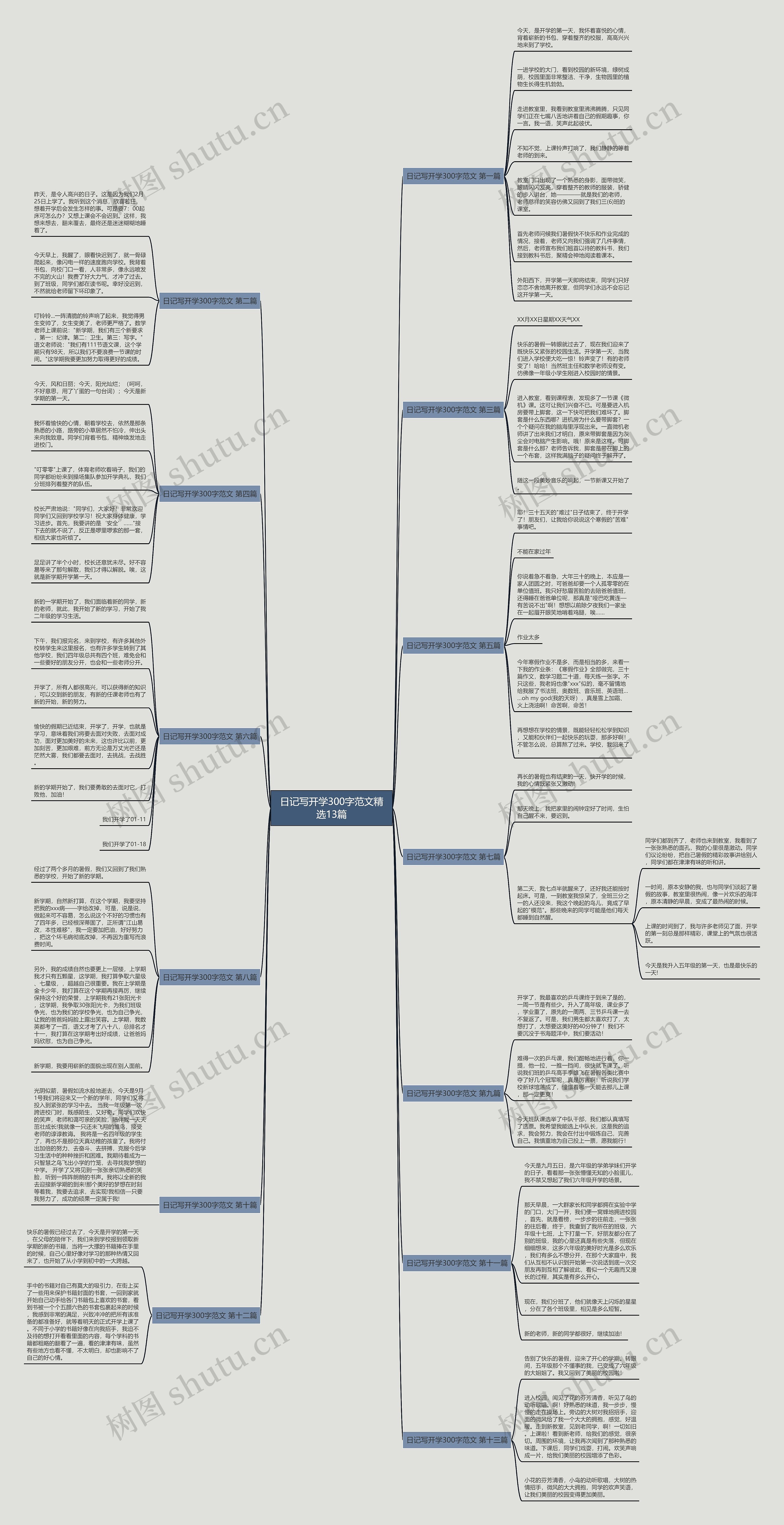 日记写开学300字范文精选13篇思维导图