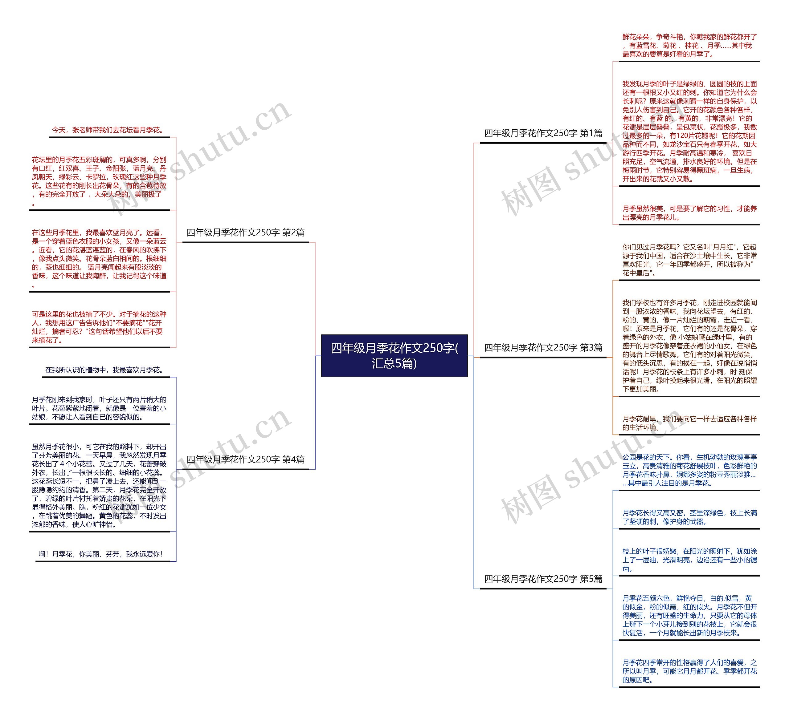 四年级月季花作文250字(汇总5篇) 四年级月季花作文250字(汇总5篇)