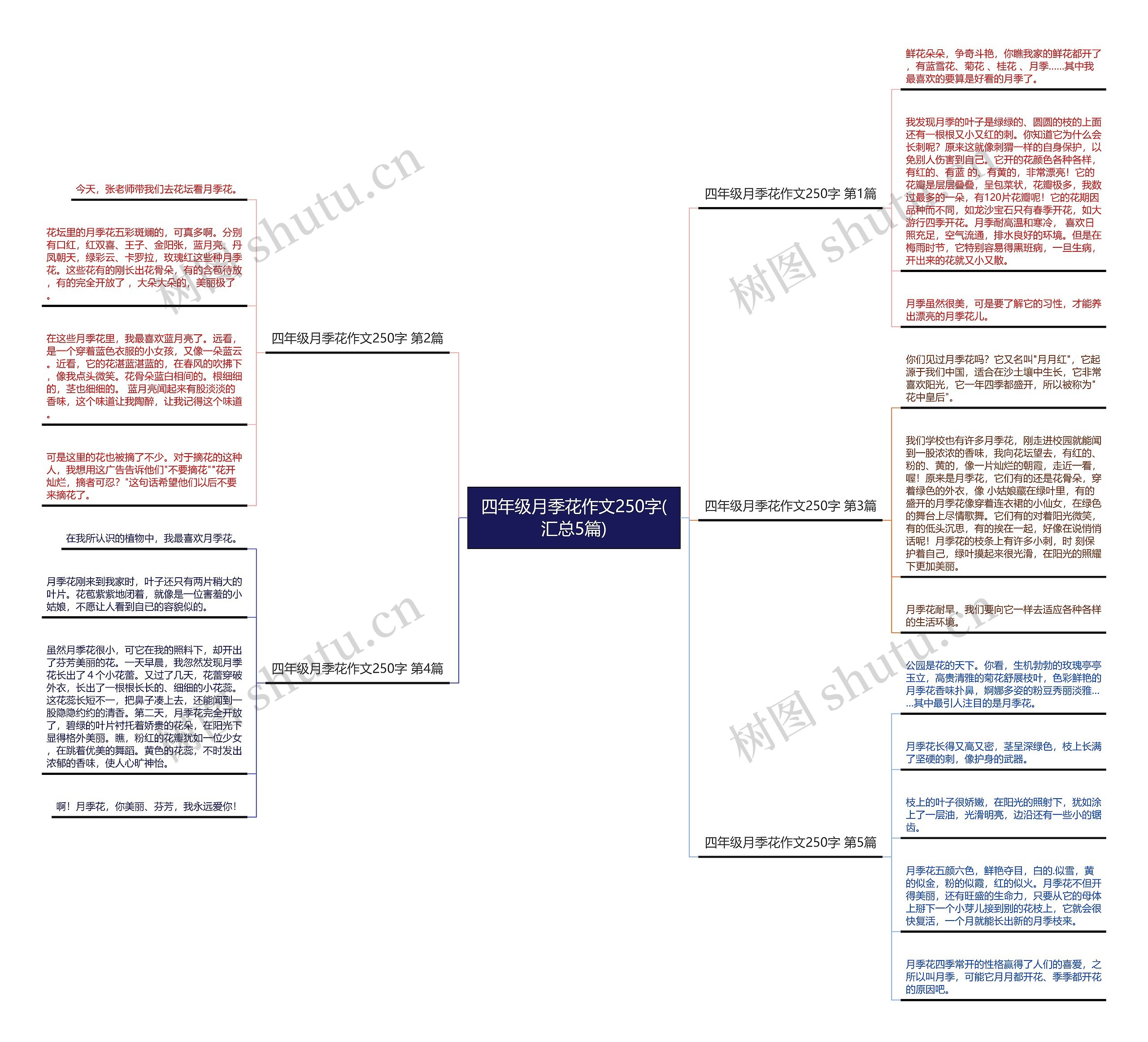 四年级月季花作文250字(汇总5篇)思维导图