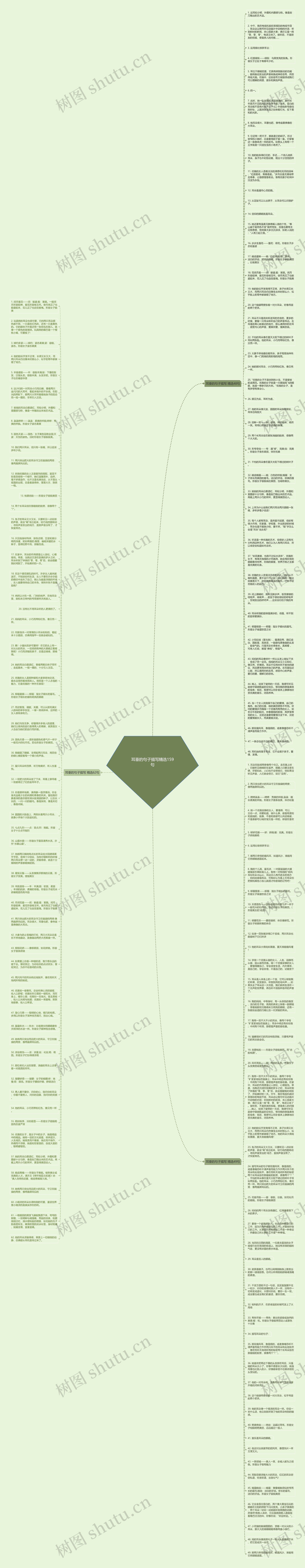耳垂的句子描写精选159句思维导图