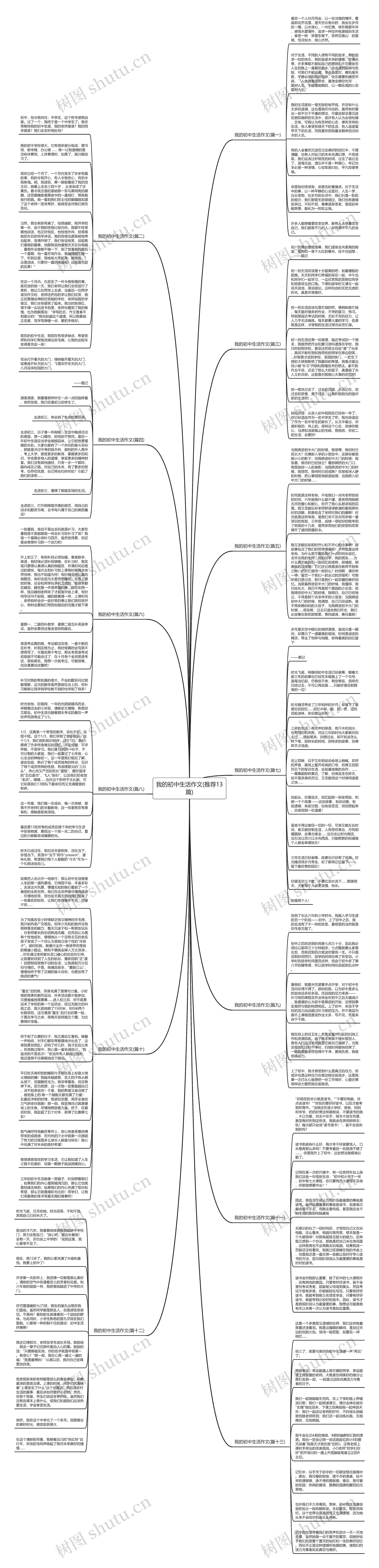 我的初中生活作文(推荐13篇)思维导图