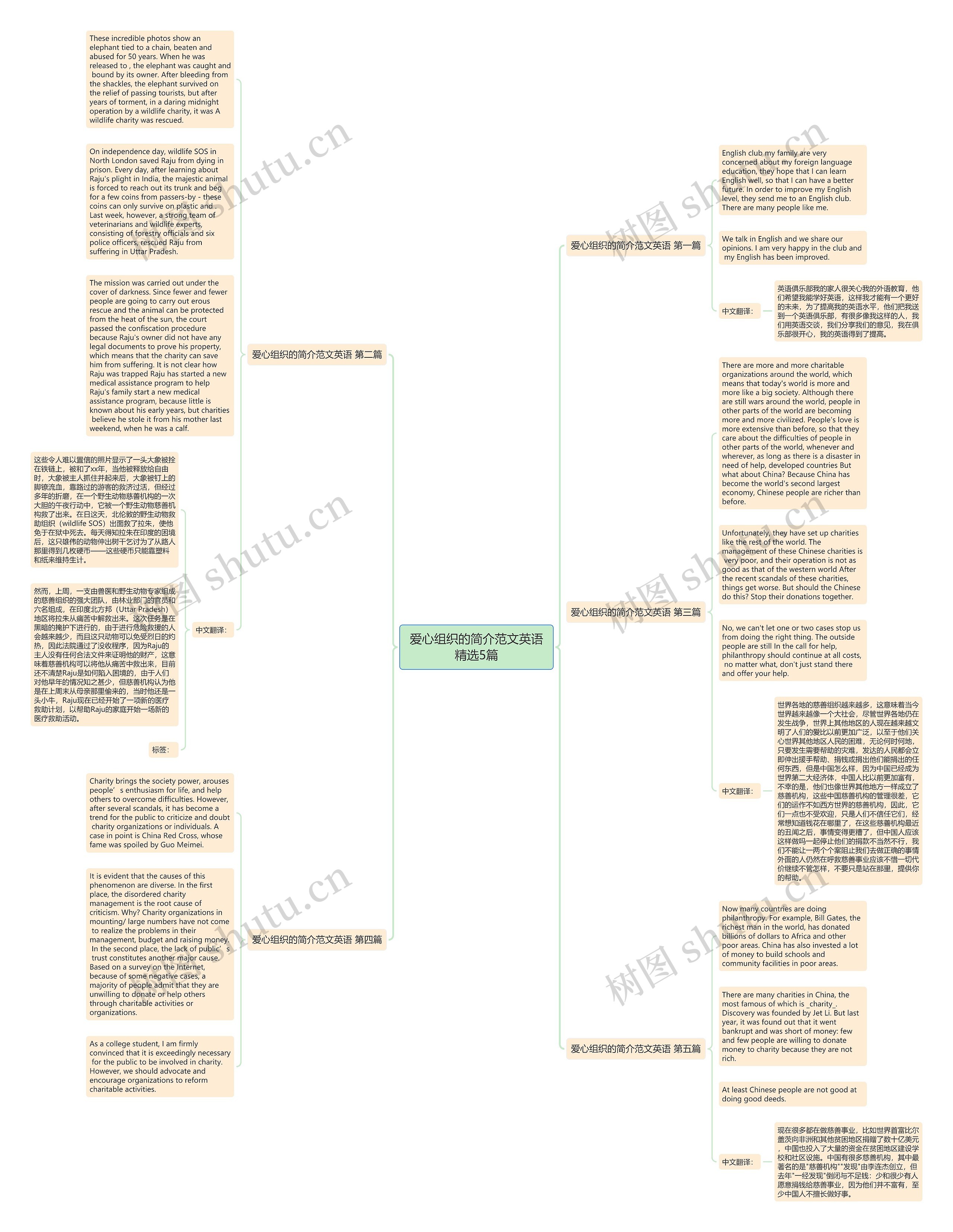 爱心组织的简介范文英语精选5篇思维导图