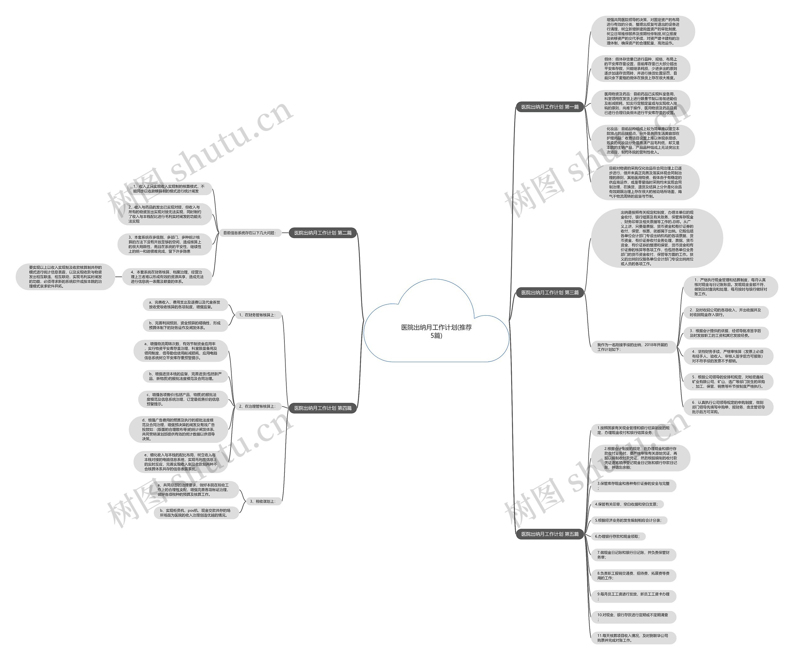 医院出纳月工作计划(推荐5篇)思维导图