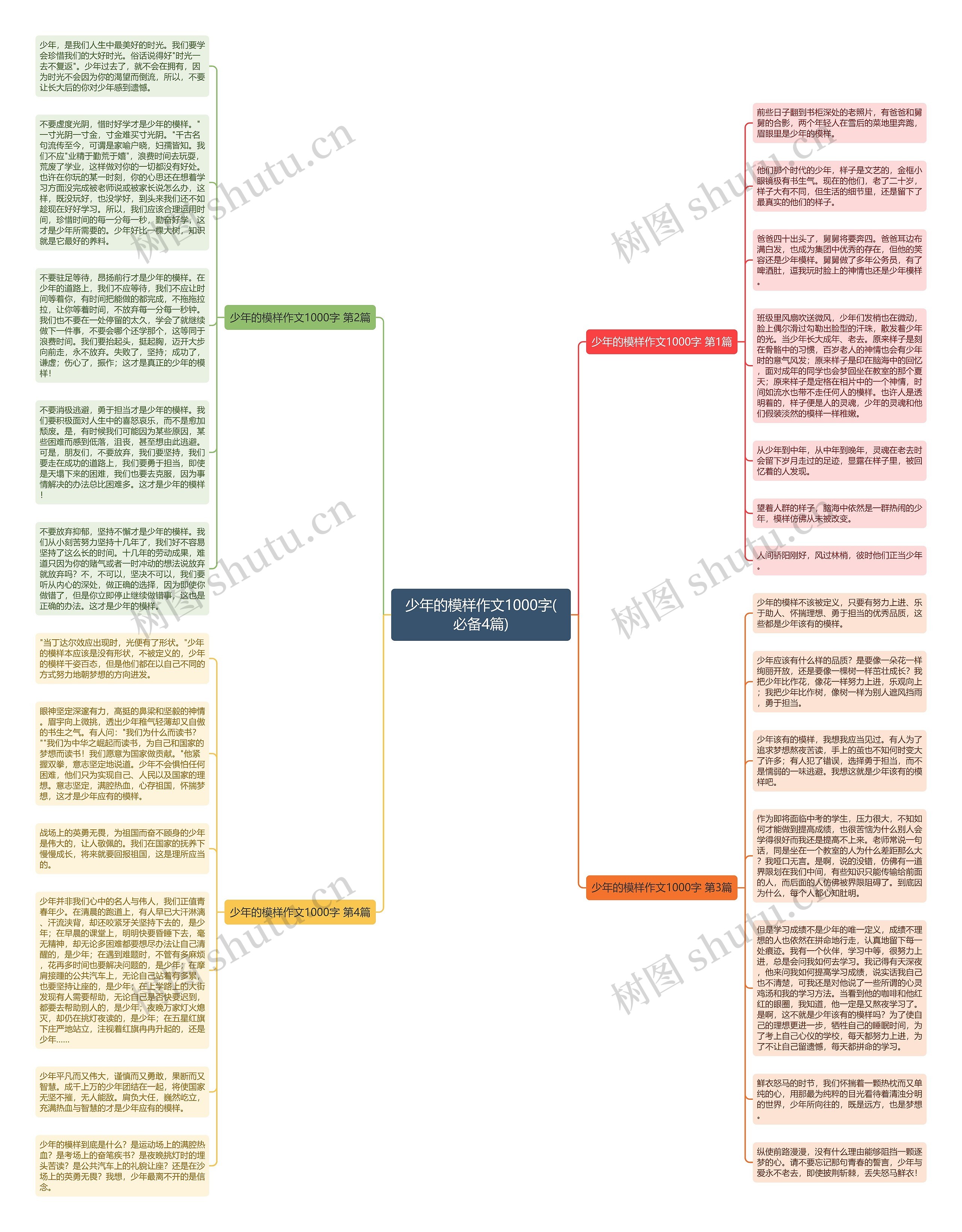 少年的模样作文1000字(必备4篇)思维导图