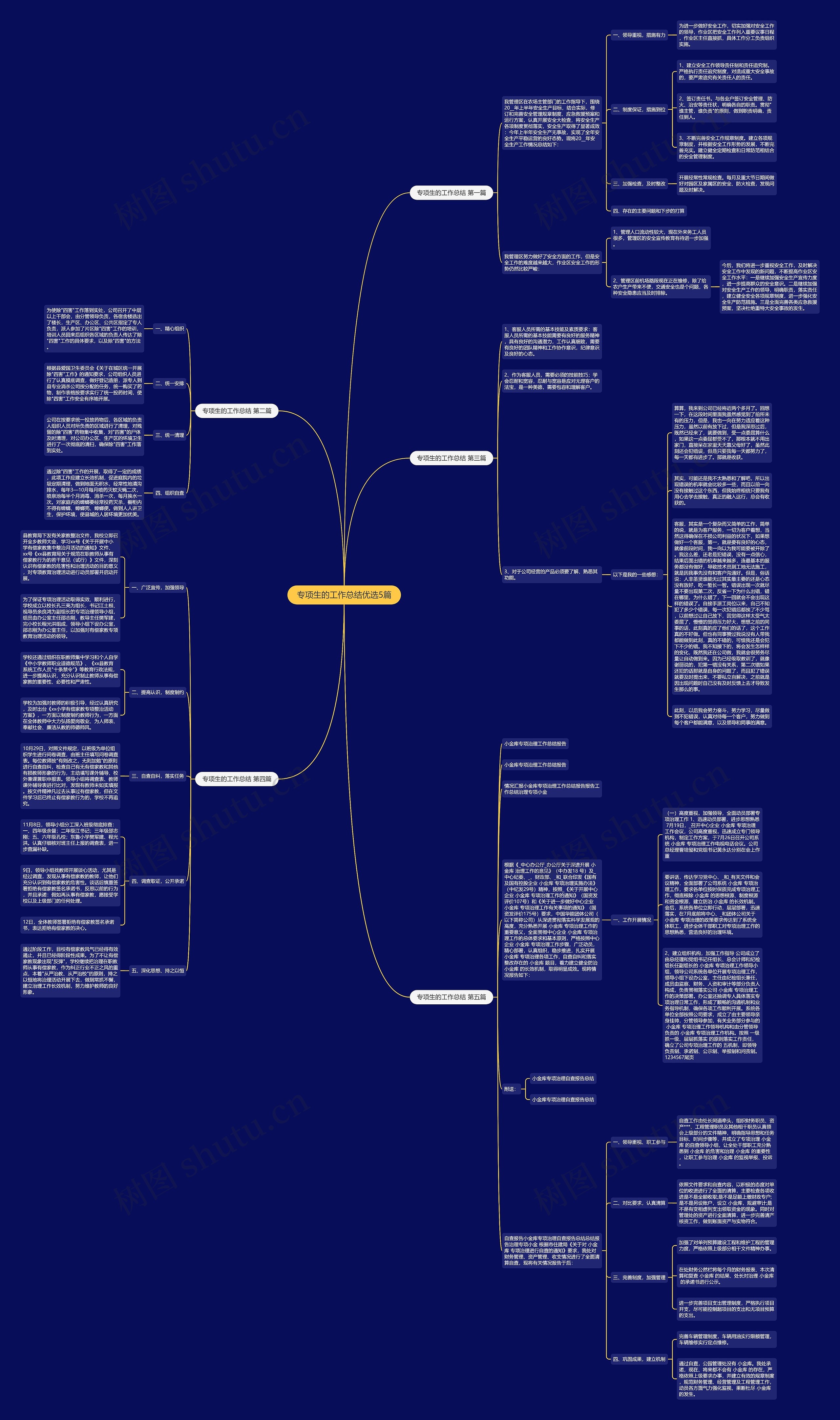 专项生的工作总结优选5篇思维导图