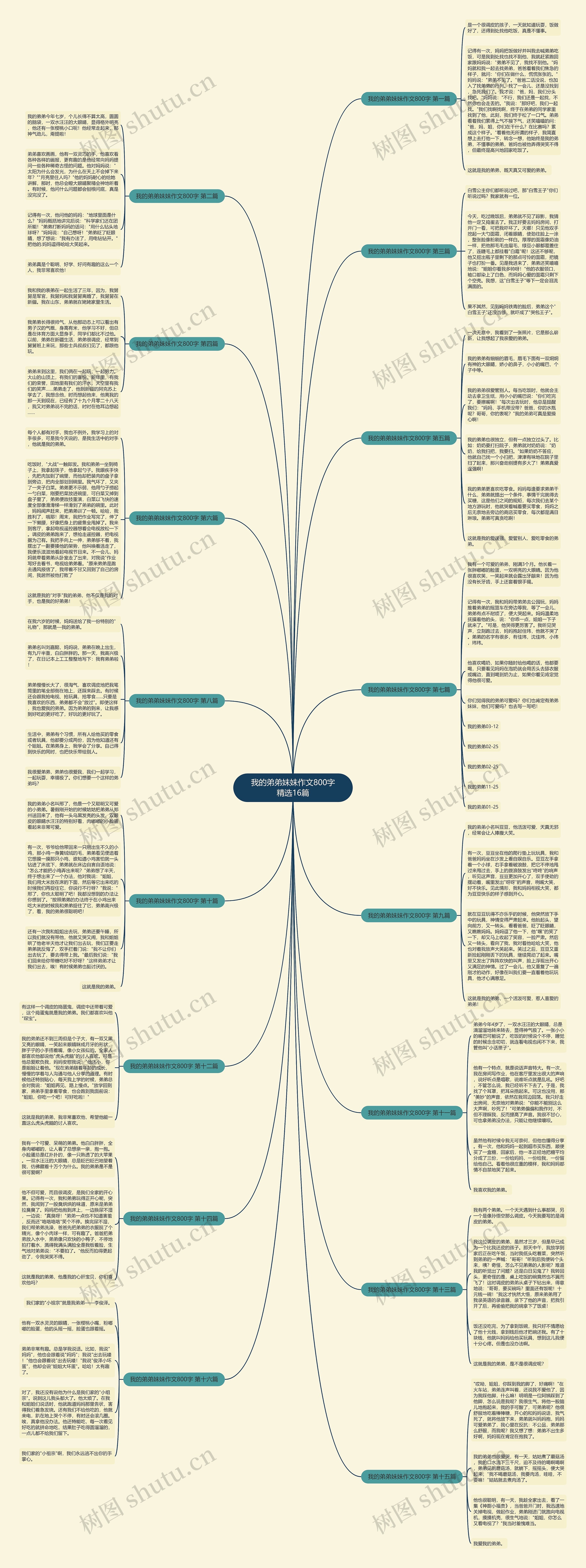 我的弟弟妹妹作文800字精选16篇思维导图