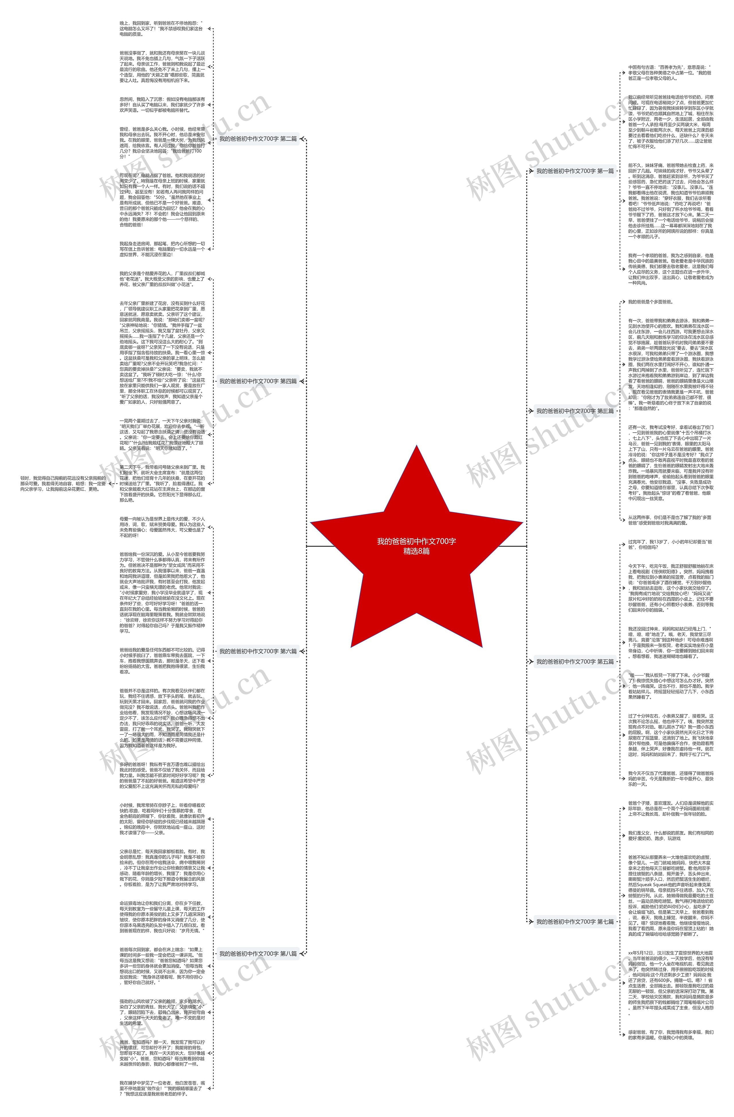 我的爸爸初中作文700字精选8篇思维导图