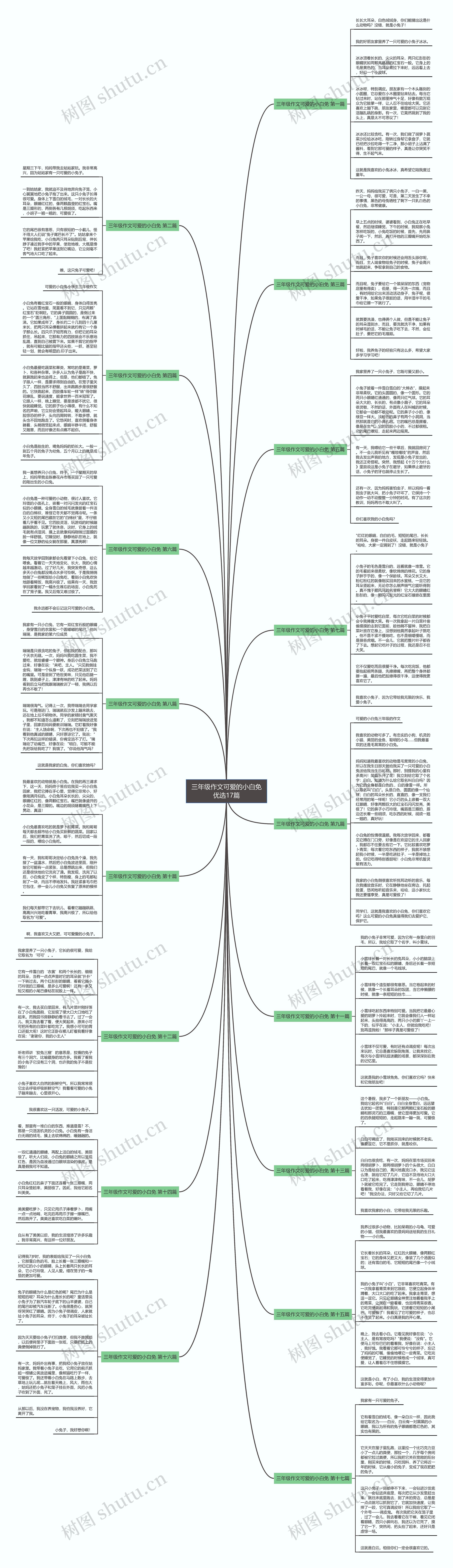 三年级作文可爱的小白免优选17篇思维导图