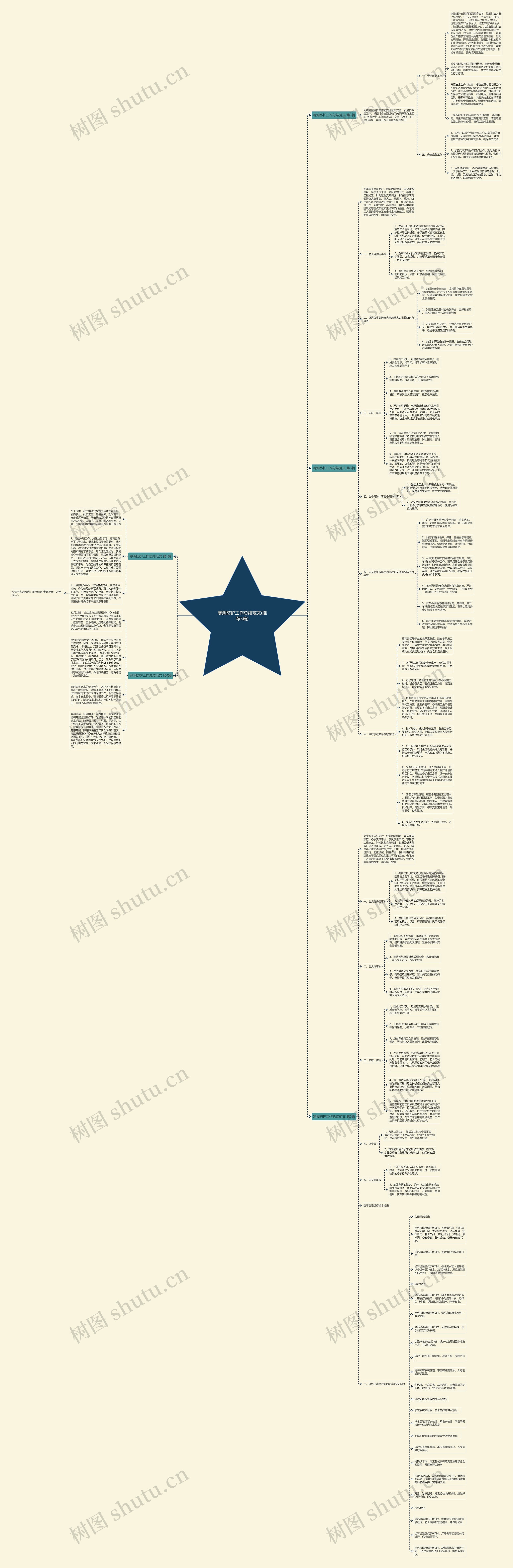寒潮防护工作总结范文(推荐5篇)思维导图