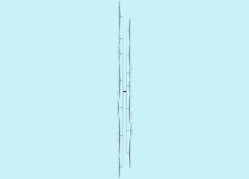 建团周年诗歌作品范文通用14篇