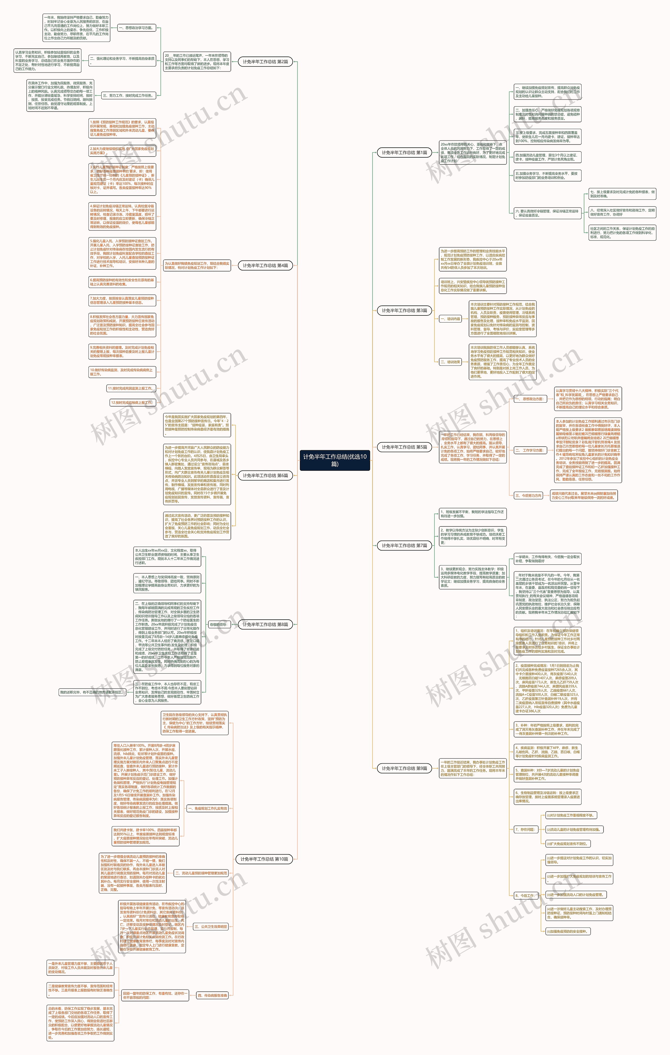 计免半年工作总结(优选10篇)思维导图
