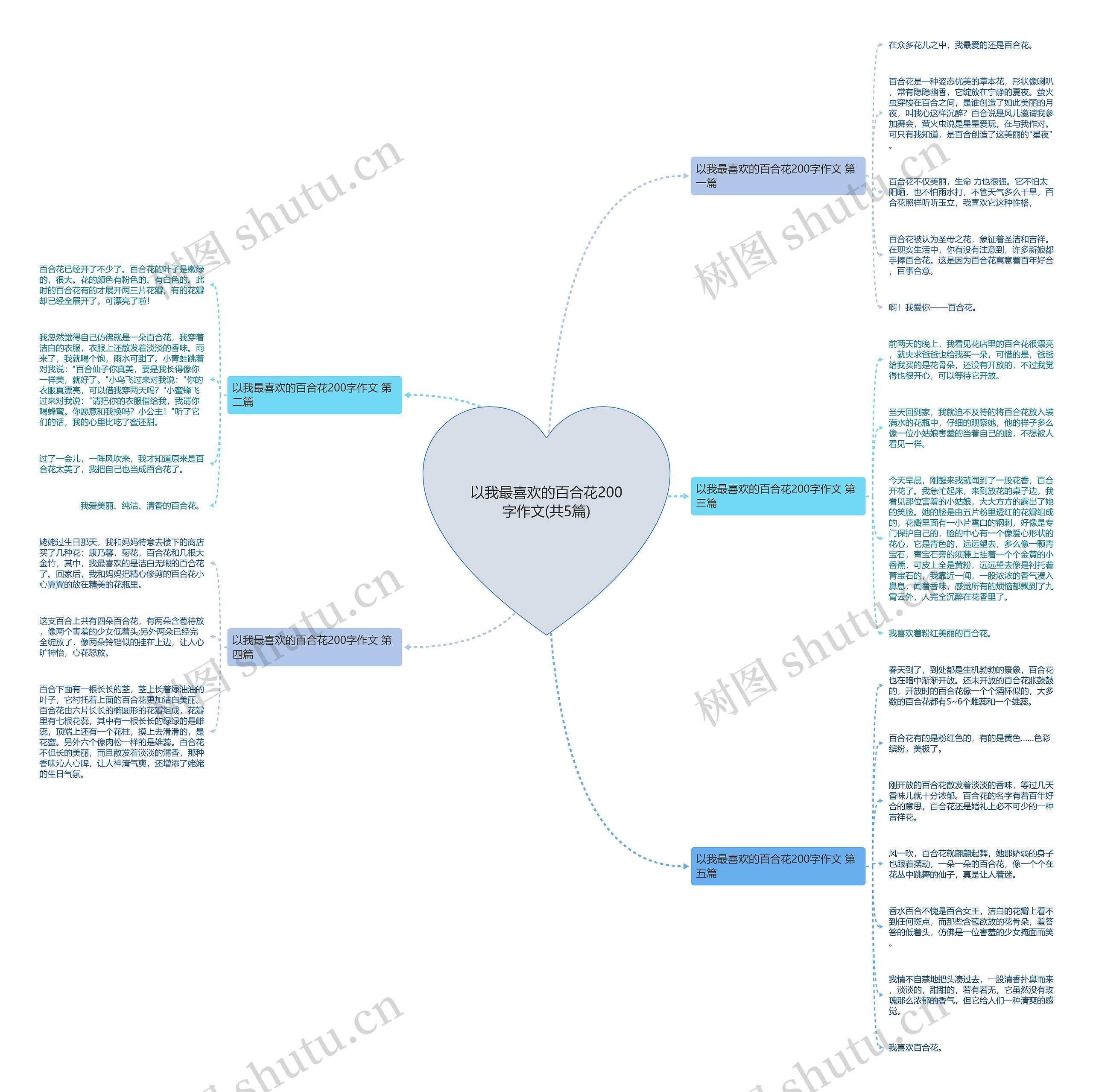 以我最喜欢的百合花200字作文(共5篇)思维导图