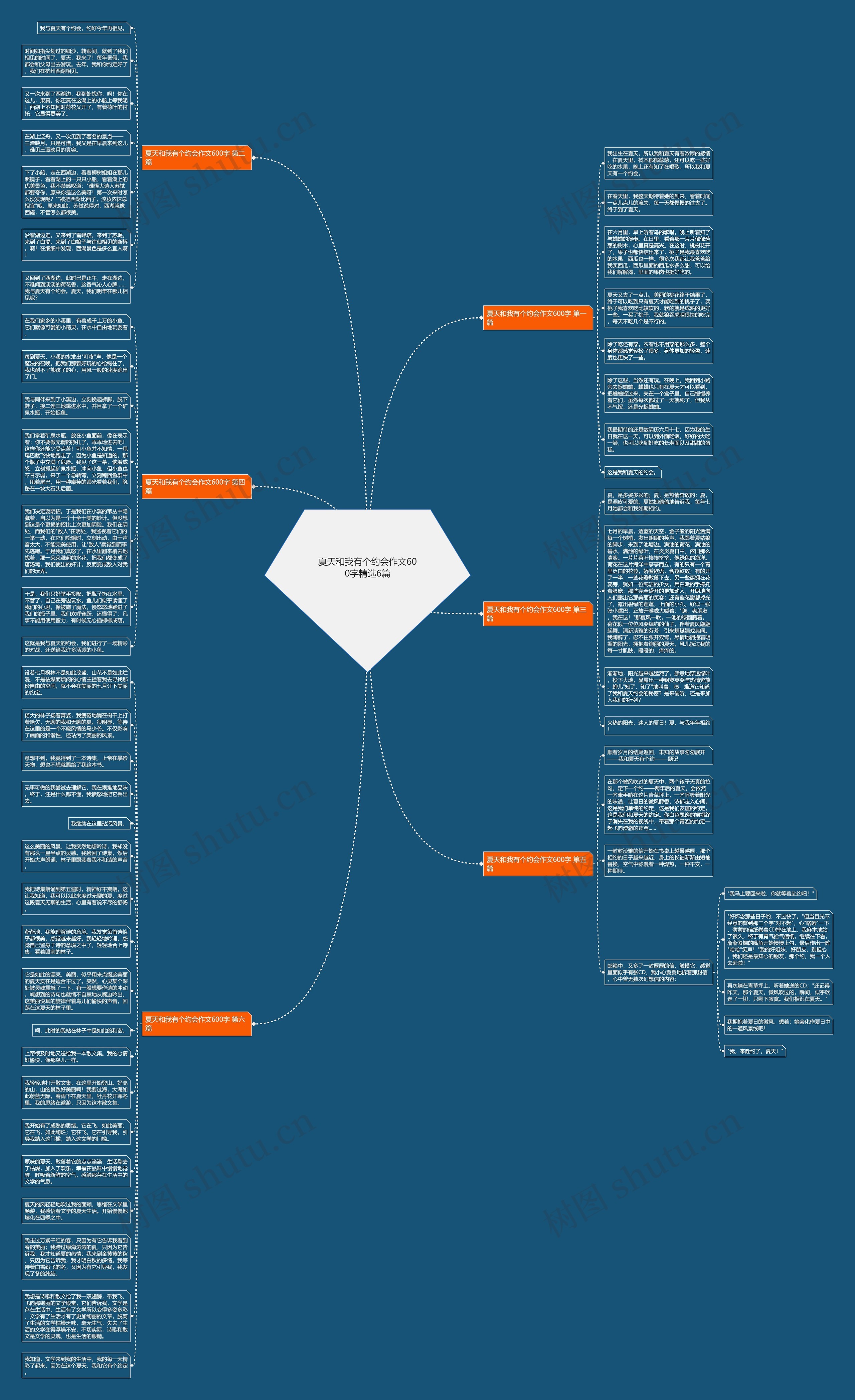 夏天和我有个约会作文600字精选6篇思维导图