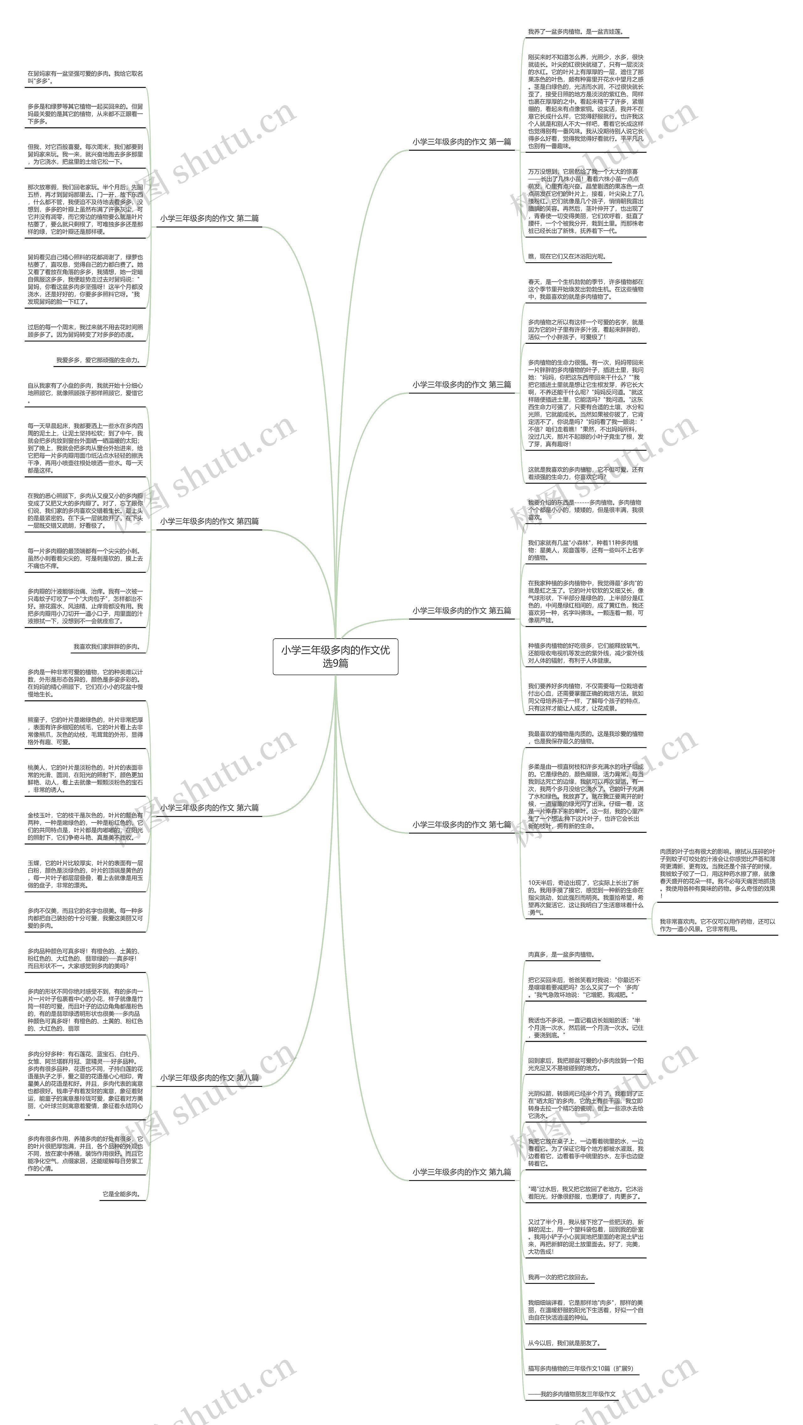 小学三年级多肉的作文优选9篇思维导图