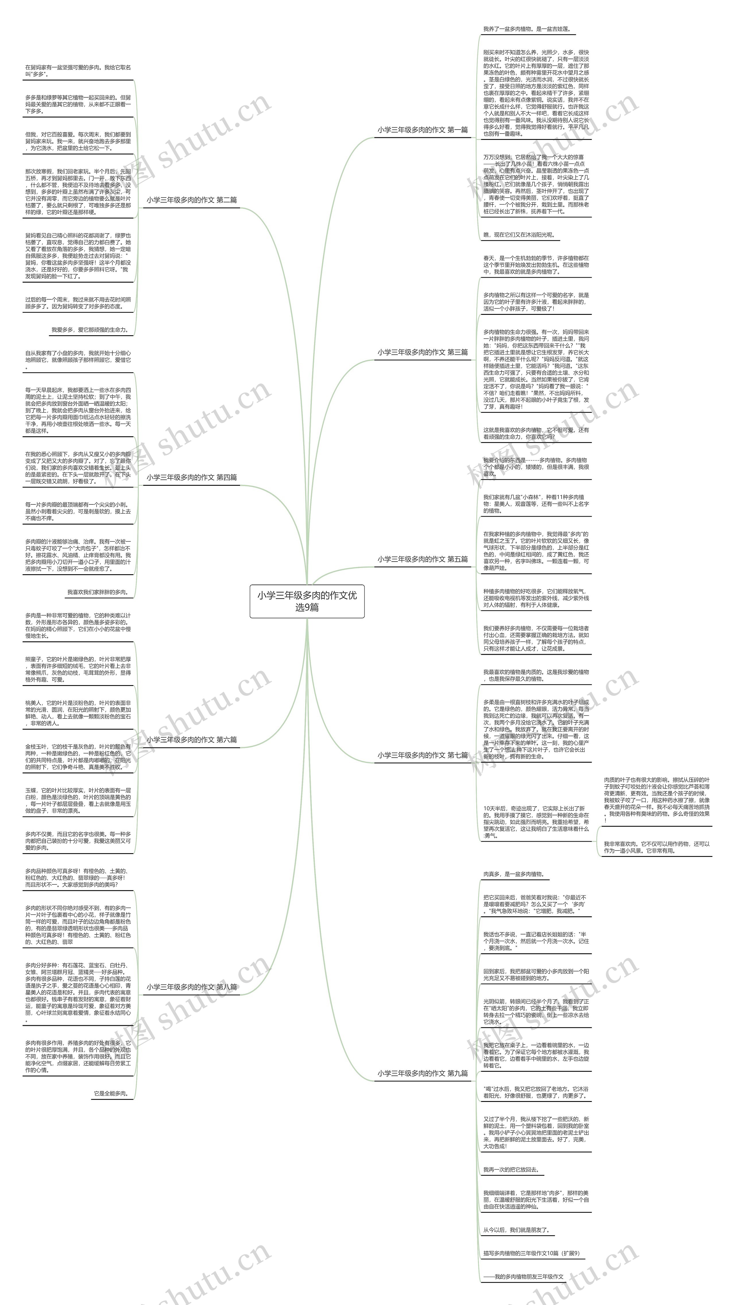 小学三年级多肉的作文优选9篇 小学三年级多肉的作文优选9篇
