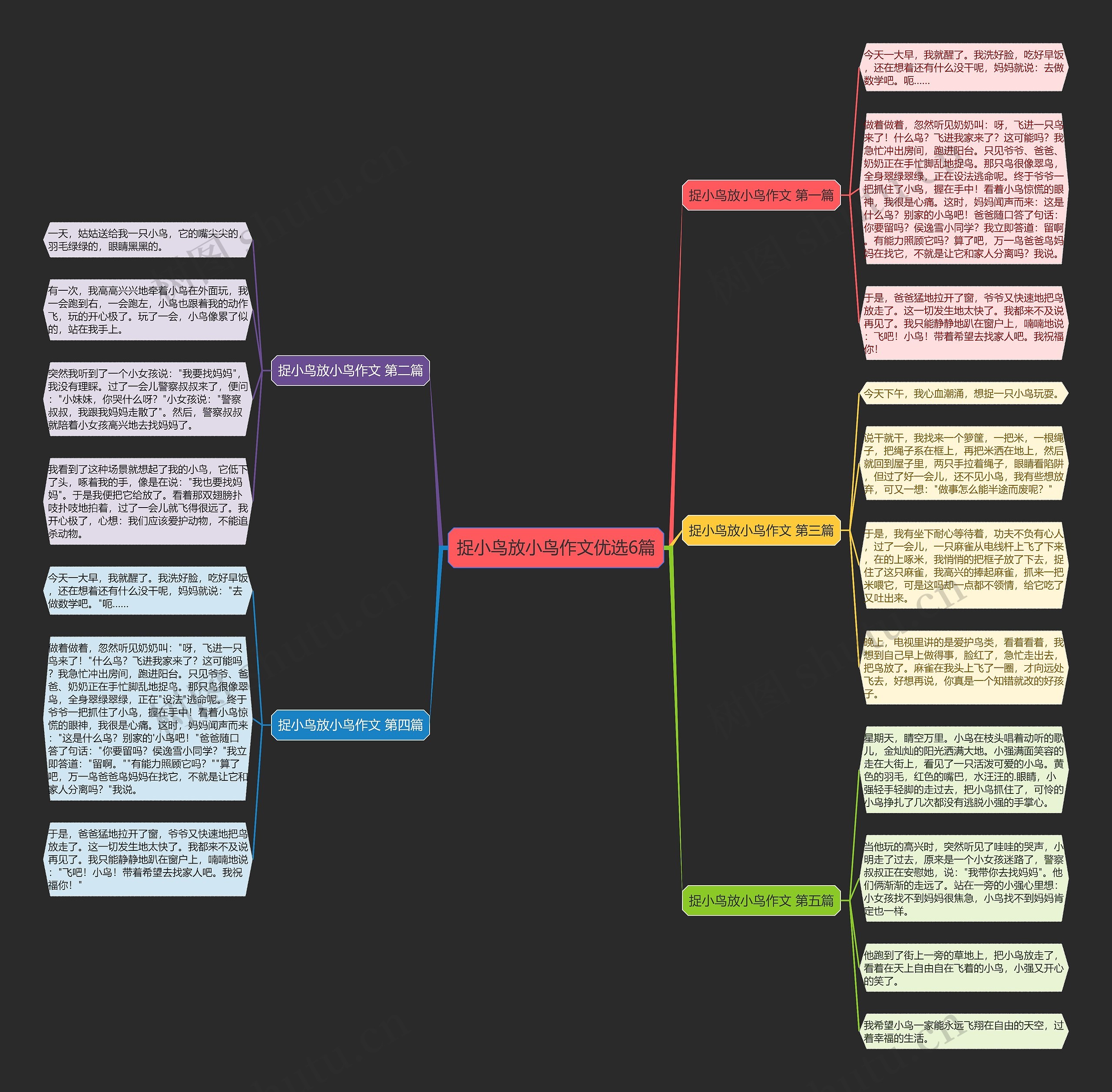 捉小鸟放小鸟作文优选6篇思维导图