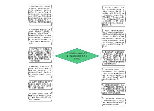 阳光简短励志唯美句子配图_(阳光简短励志唯美句子语录)