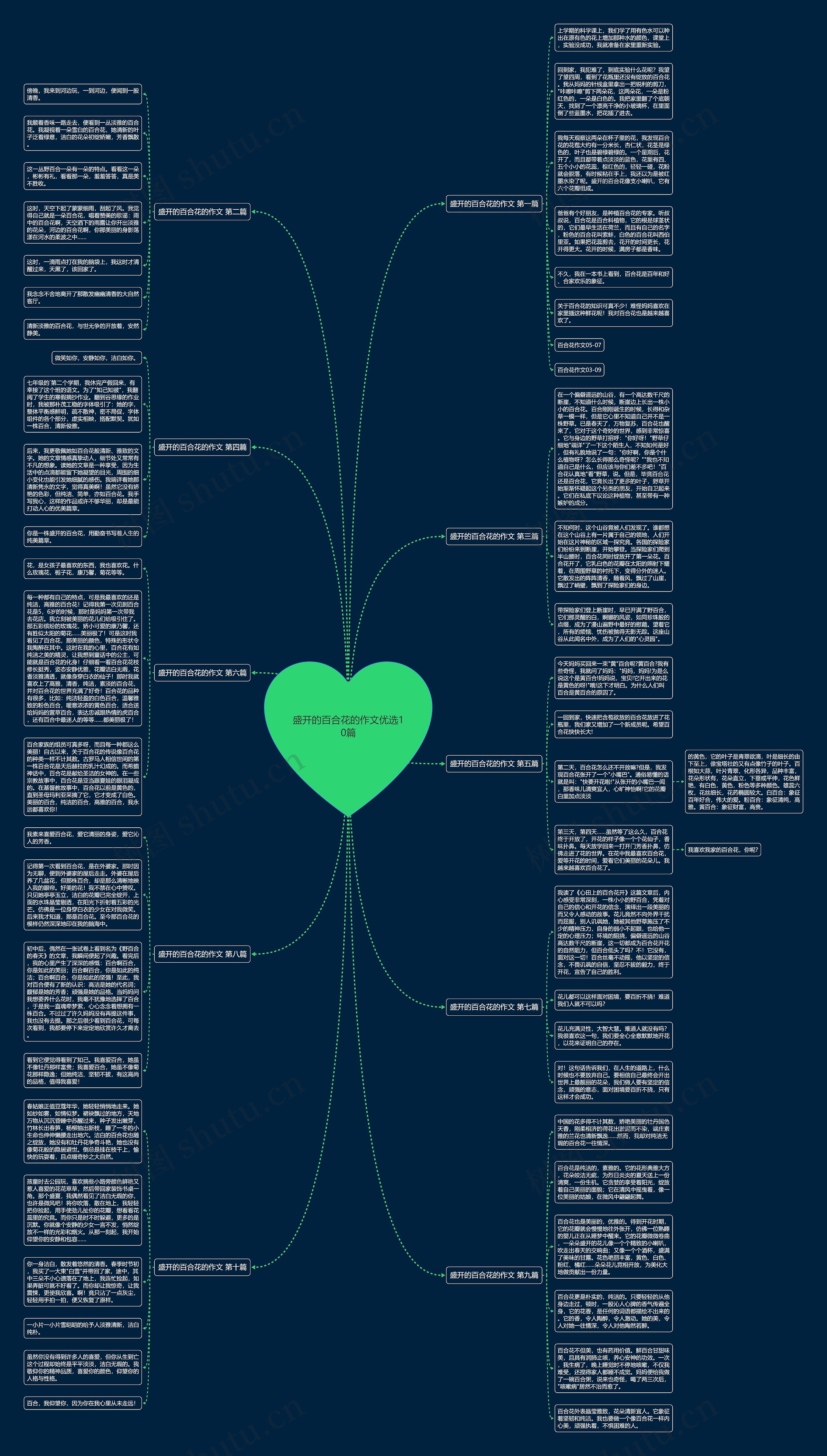 盛开的百合花的作文优选10篇思维导图