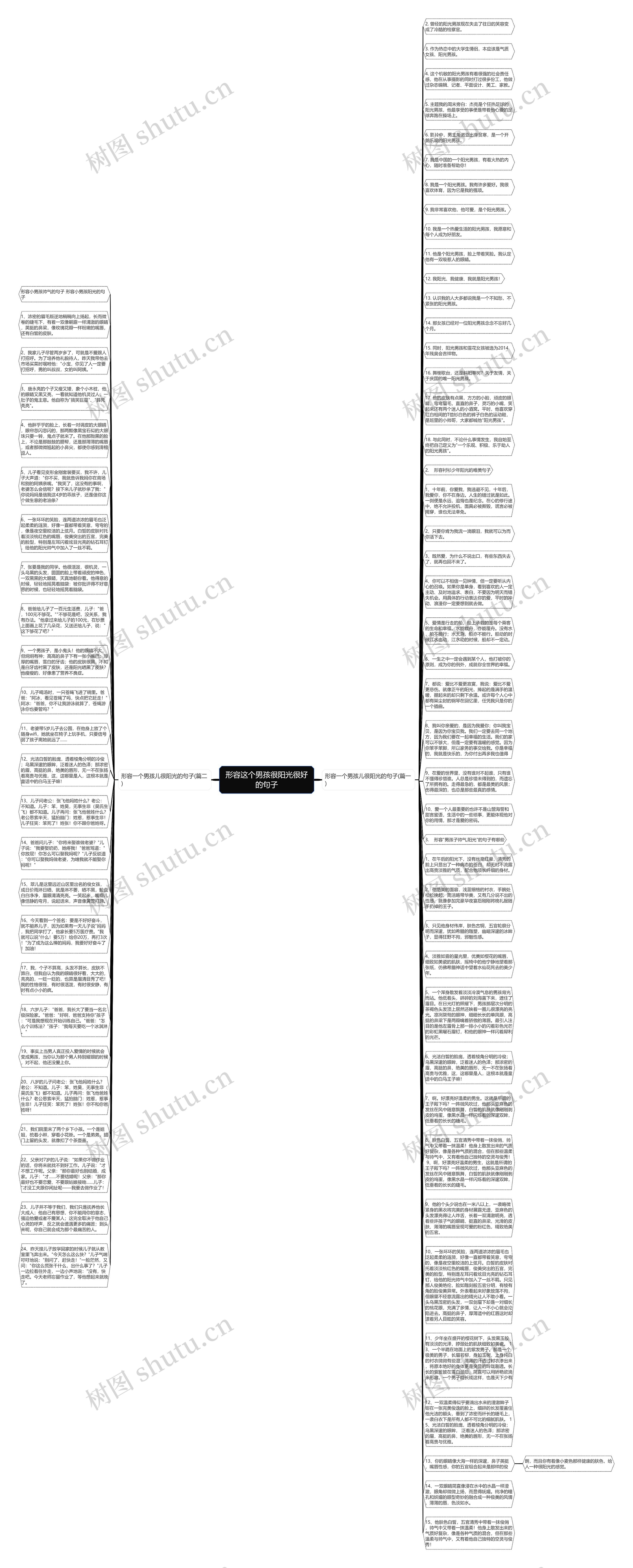 形容这个男孩很阳光很好的句子思维导图