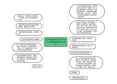 描写郁金香的优美句子短句_(朋友圈郁金香怎么配文)