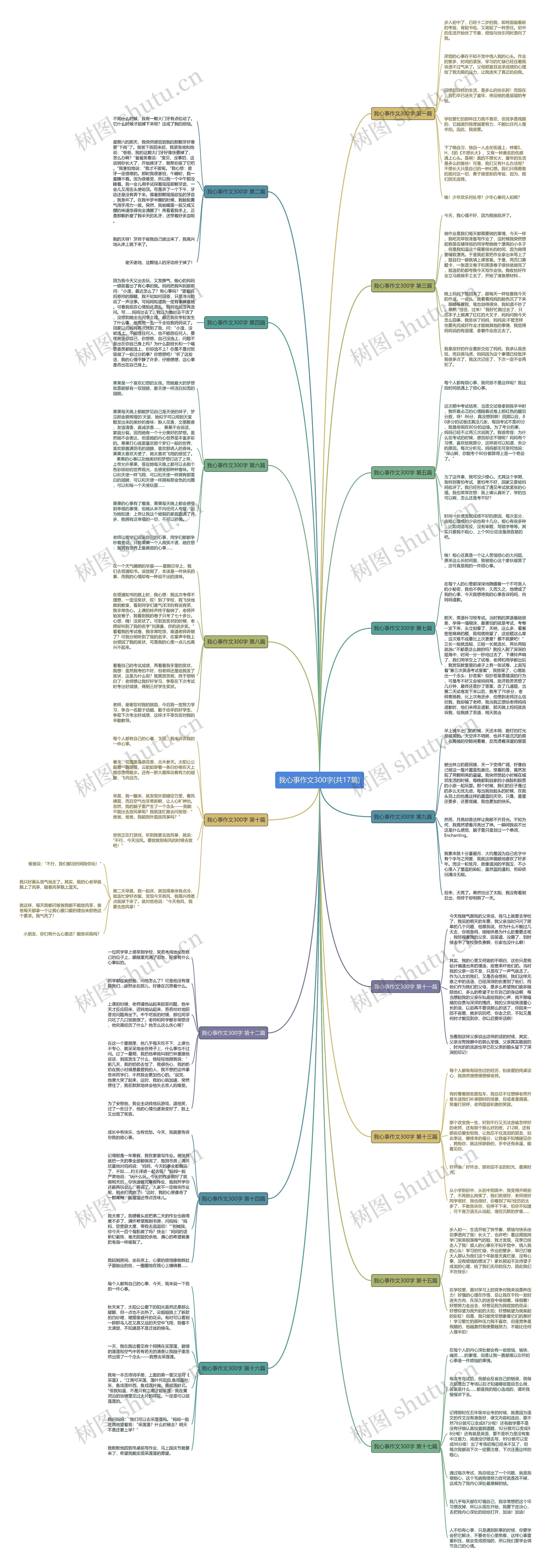 我心事作文300字(共17篇)思维导图