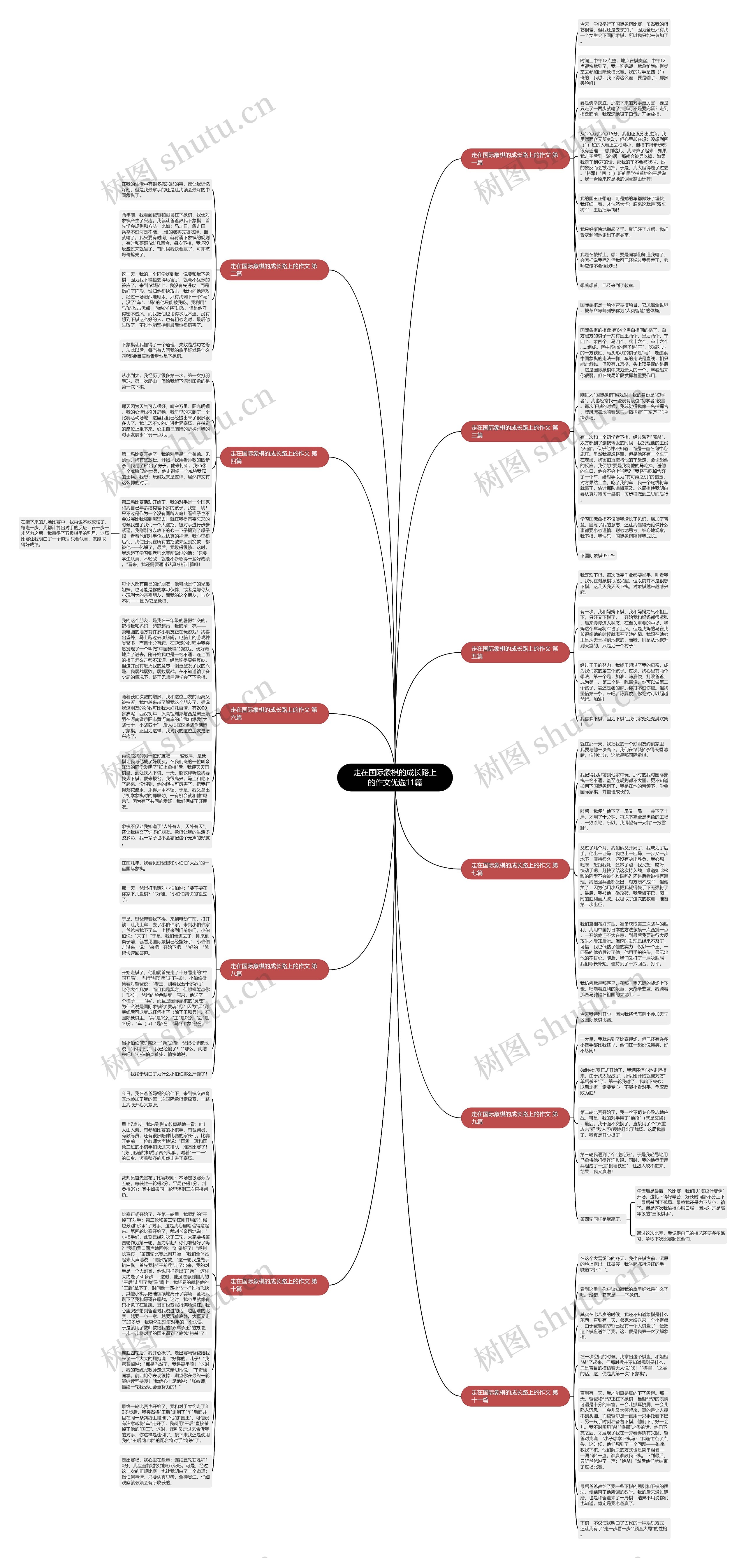 走在国际象棋的成长路上的作文优选11篇思维导图