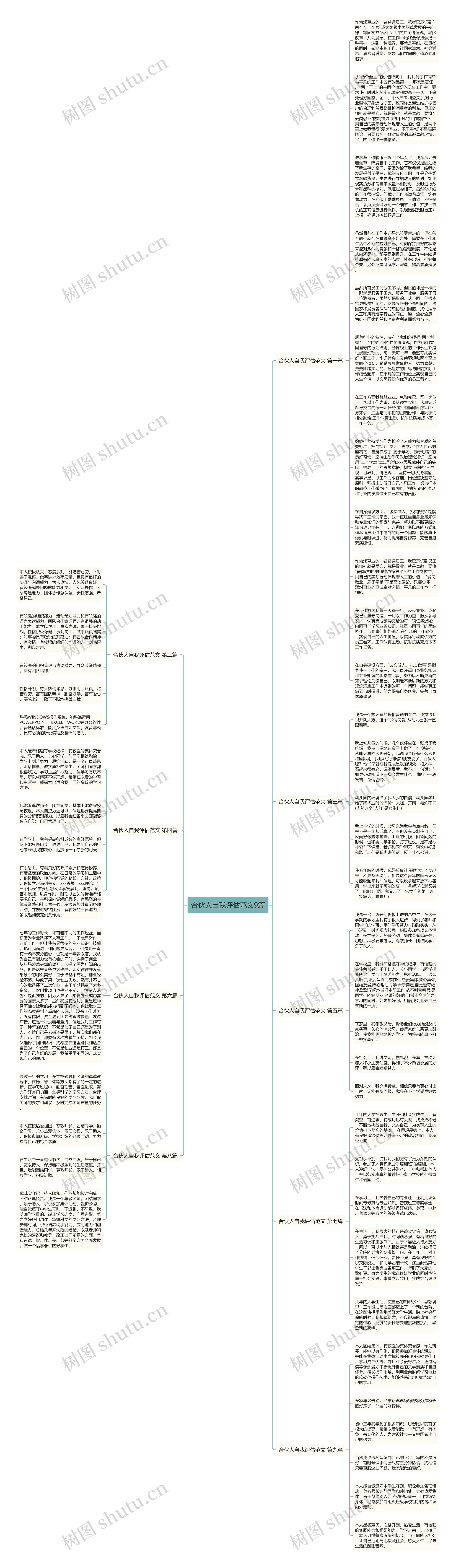 合伙人自我评估范文9篇思维导图