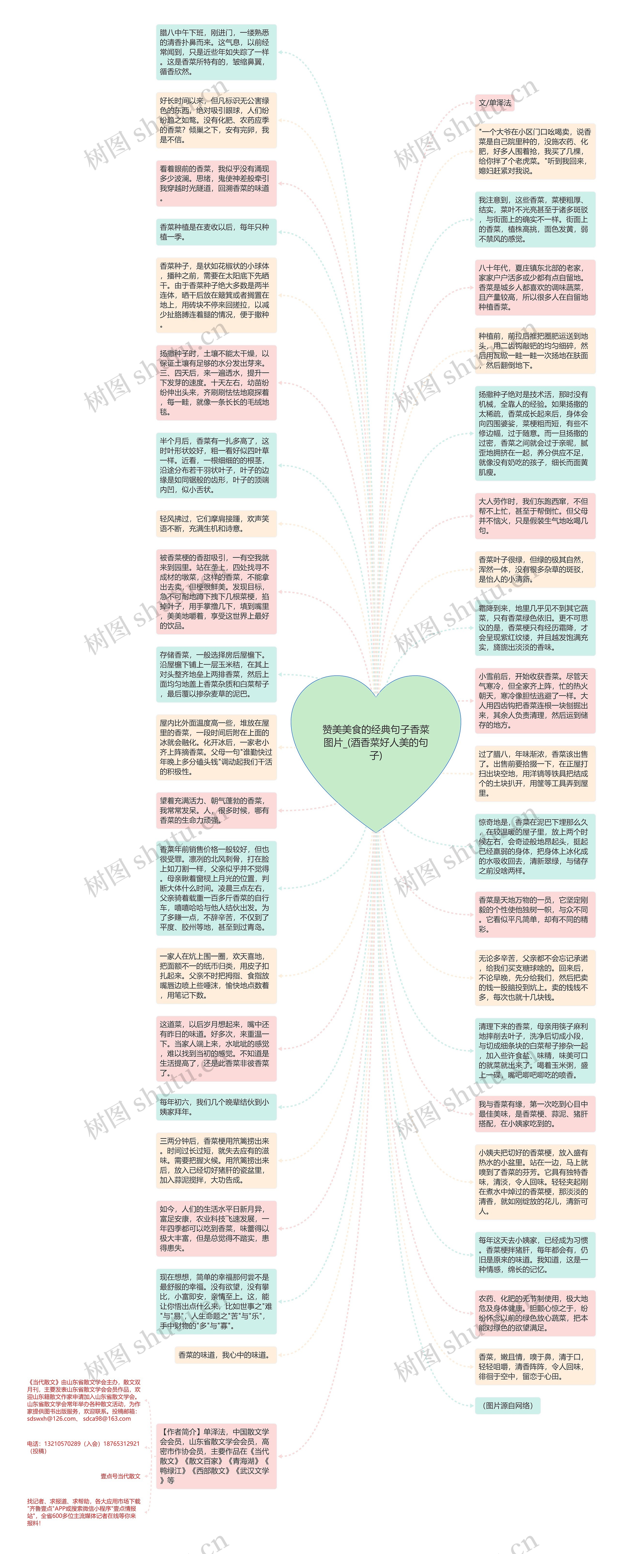 赞美美食的经典句子香菜图片_(酒香菜好人美的句子)思维导图