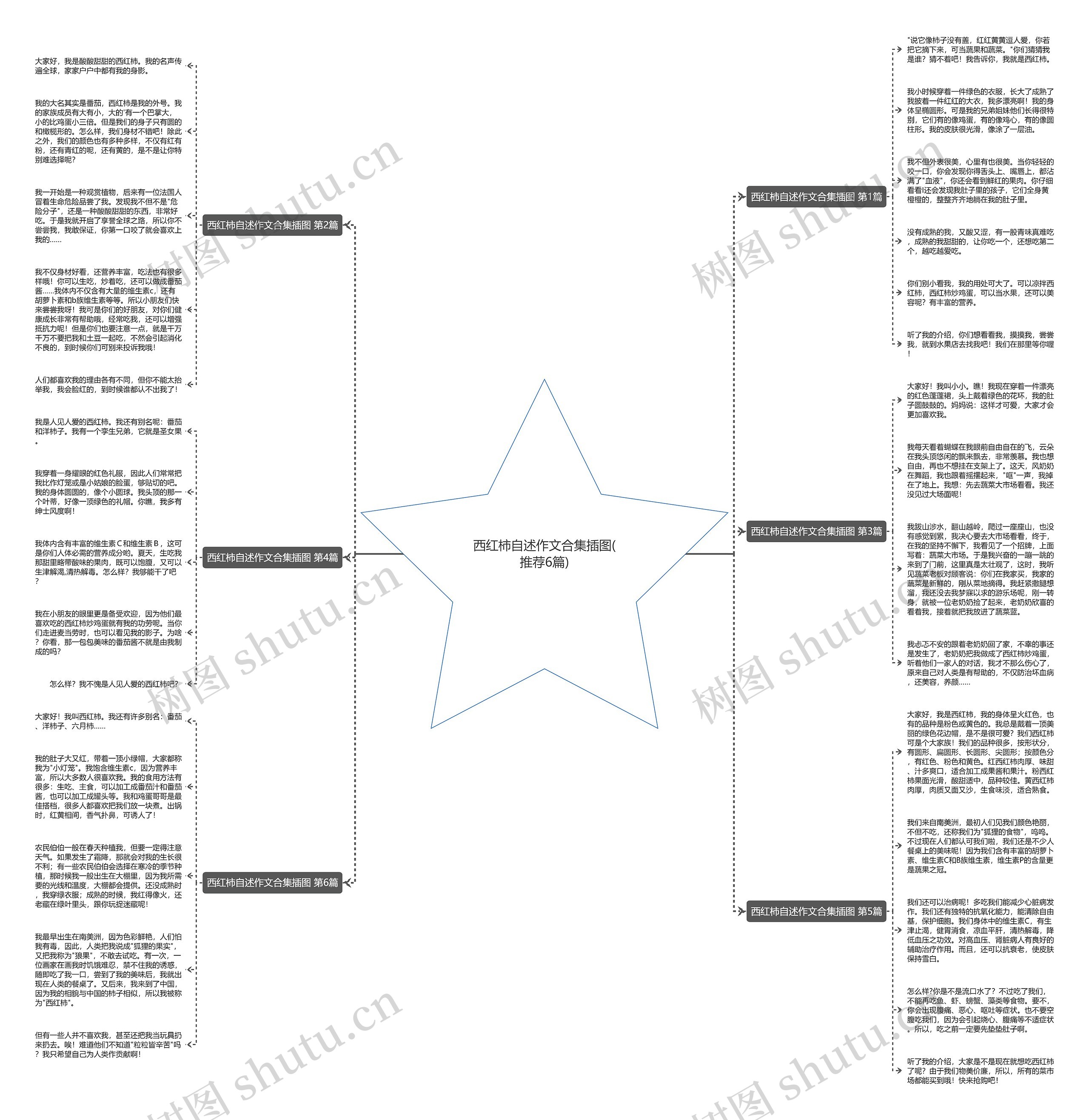 西红柿自述作文合集插图(推荐6篇) 西红柿自述作文合集插图(推荐6篇)