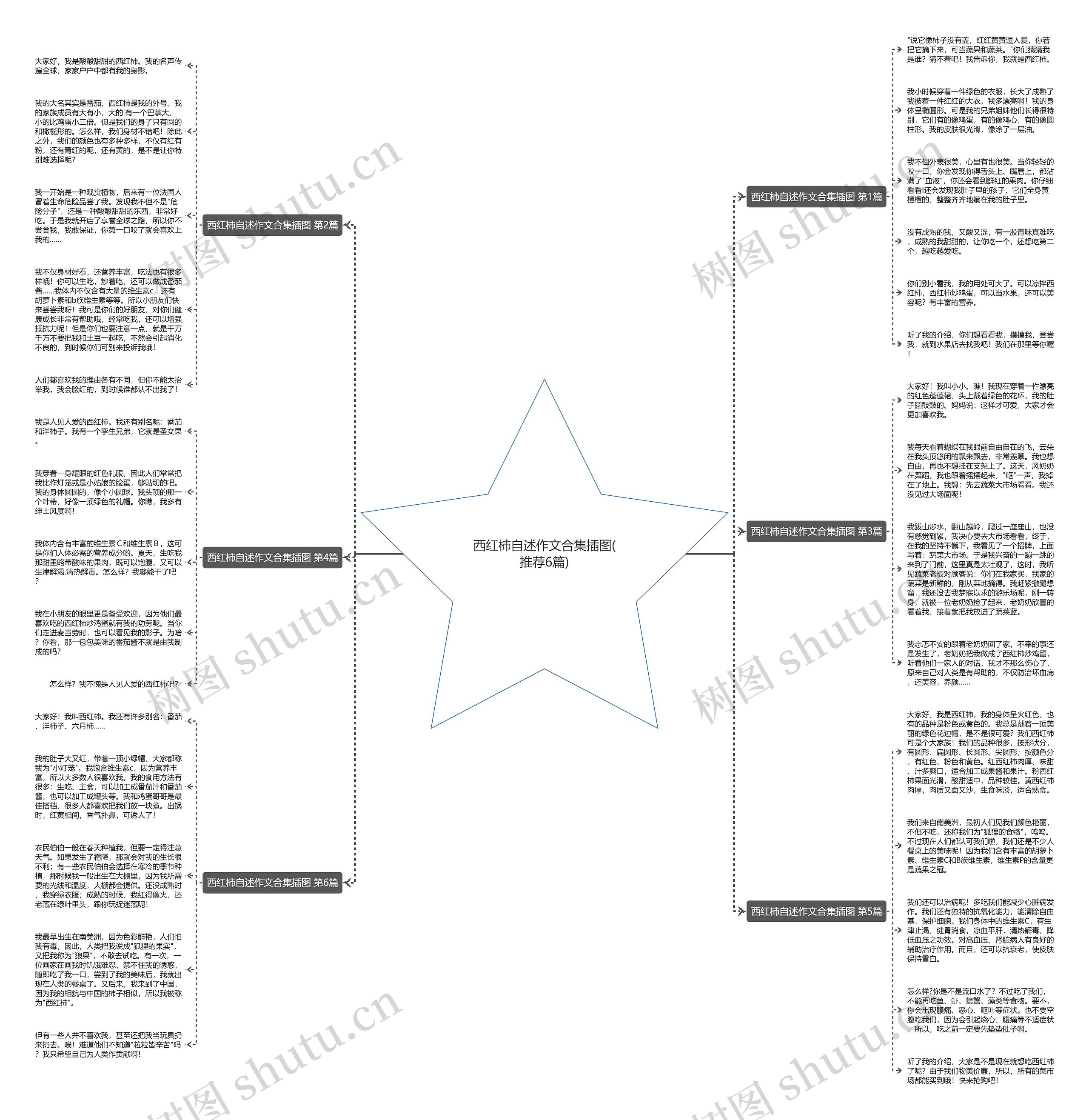 西红柿自述作文合集插图(推荐6篇)思维导图