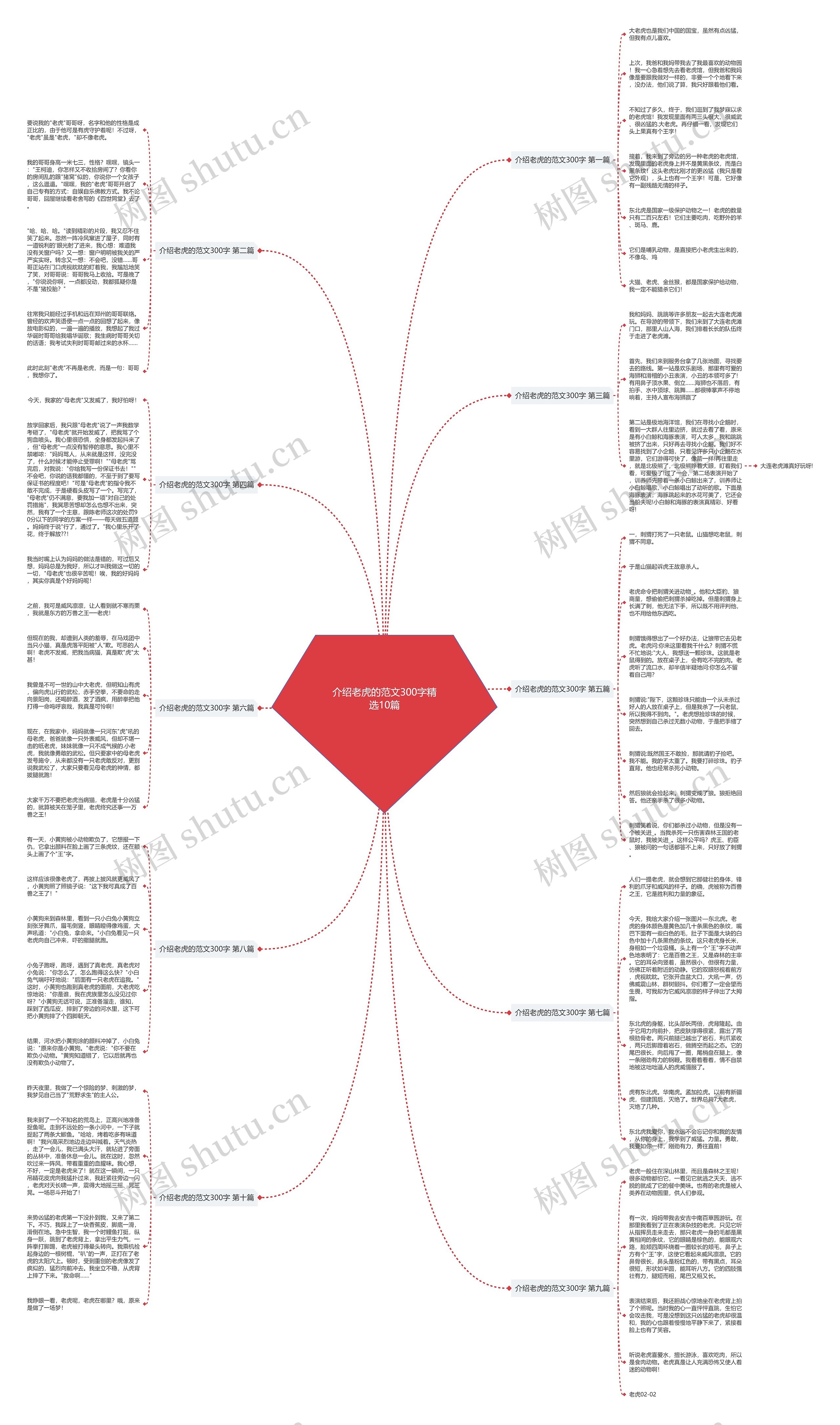 介绍老虎的范文300字精选10篇思维导图