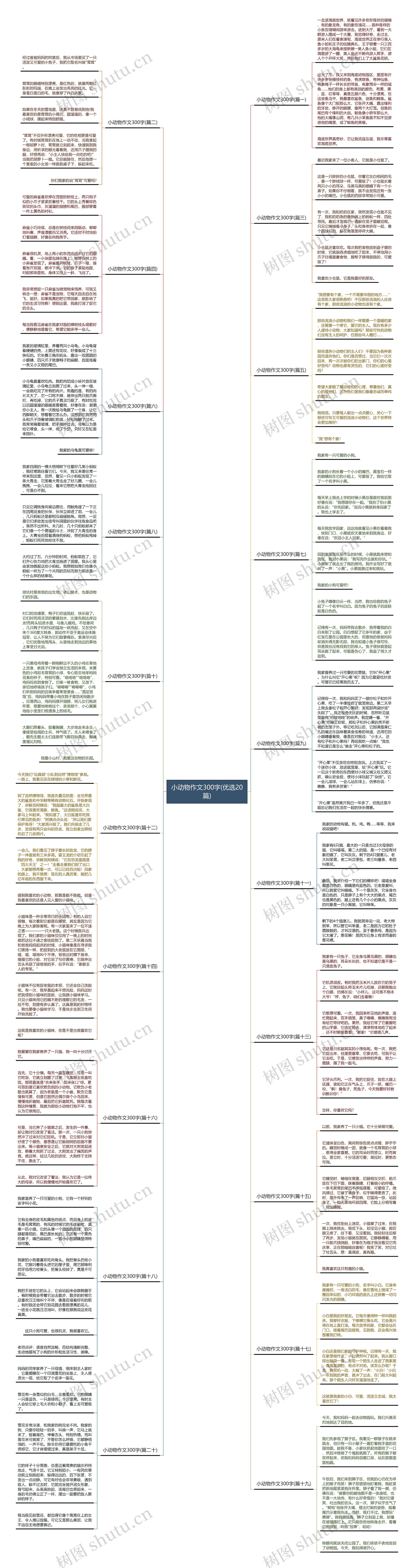 小动物作文300字(优选20篇)思维导图
